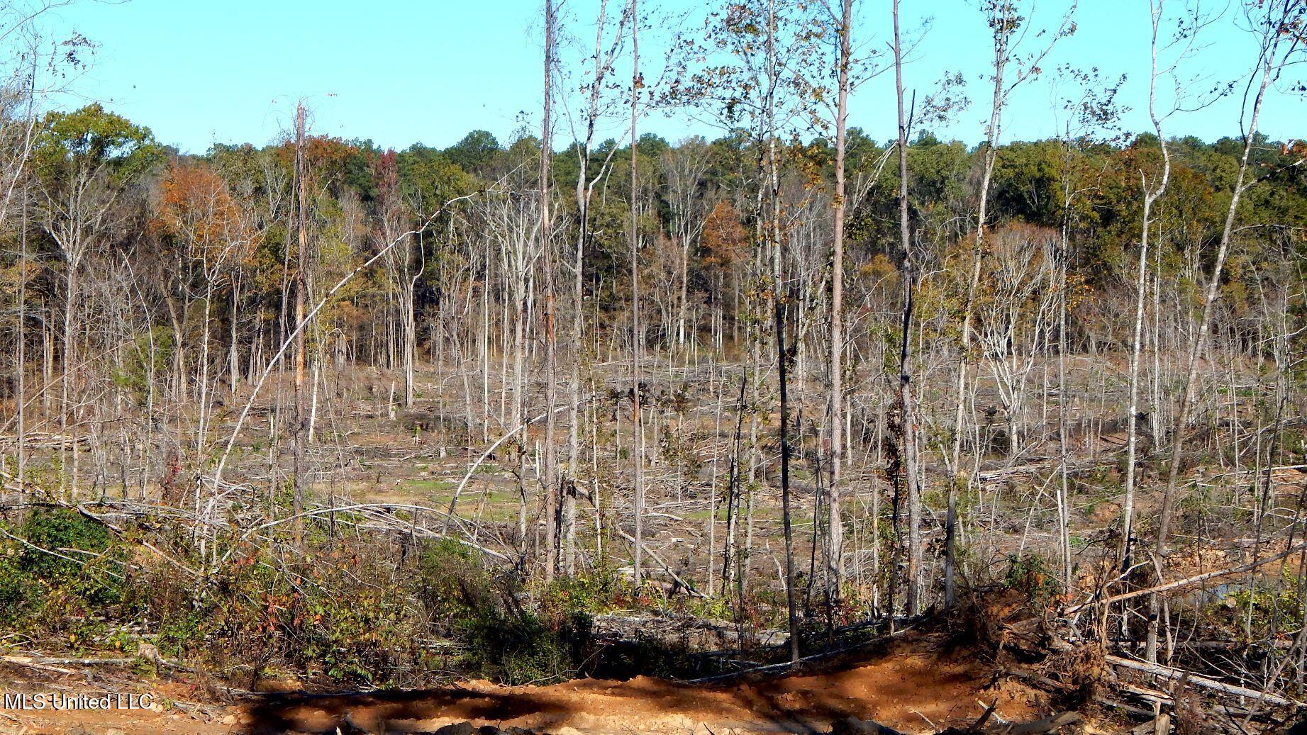 49 811th Road Coffeeville, MS 38922 - Photo 15 of 52 DSCN6247