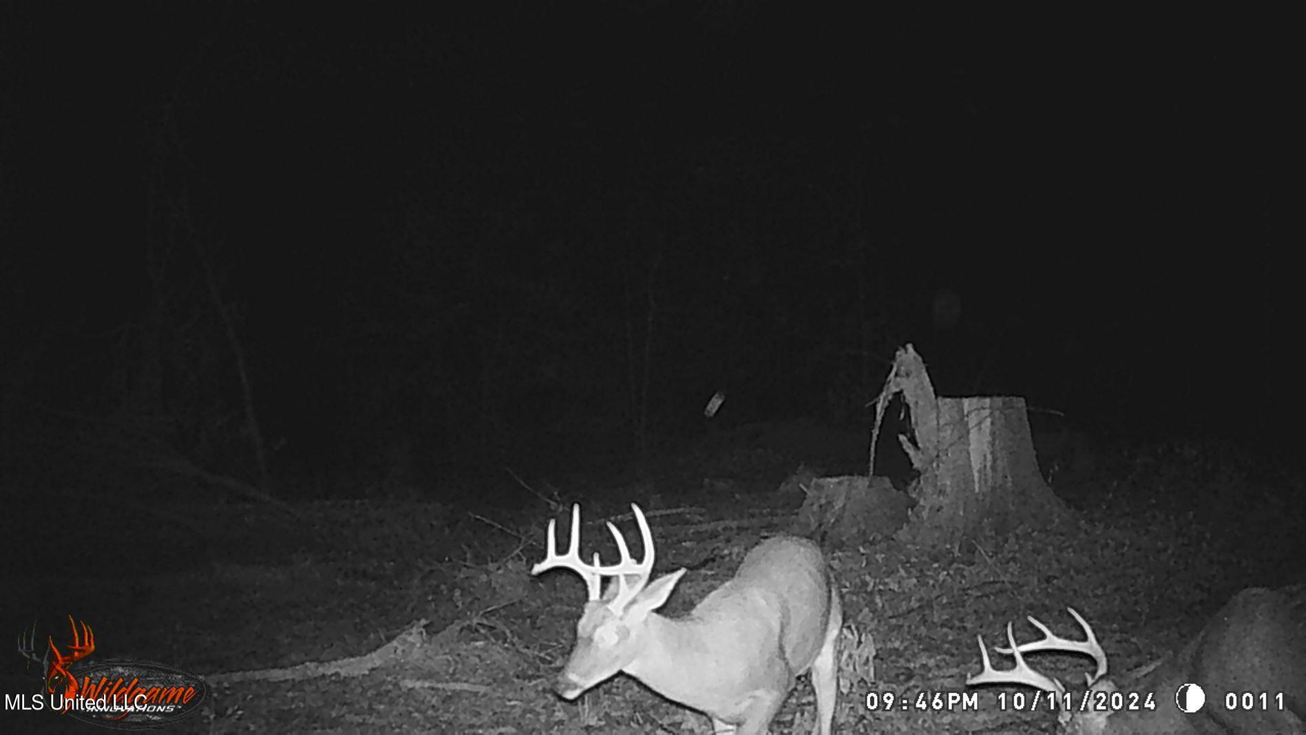 49 811th Road Coffeeville, MS 38922 - Photo 19 of 52 WGI_0011