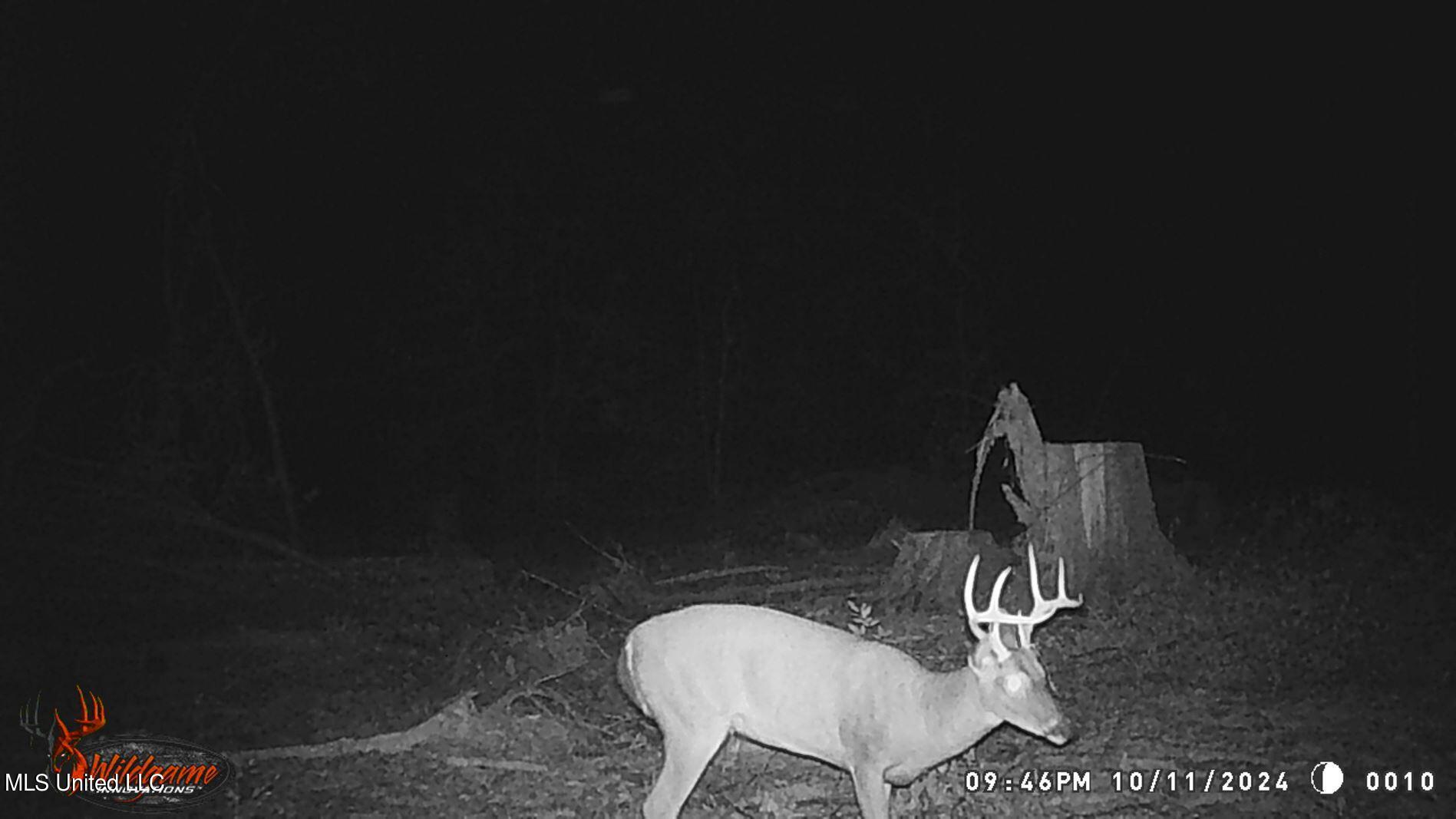49 811th Road Coffeeville, MS 38922 - Photo 20 of 52 WGI_0010