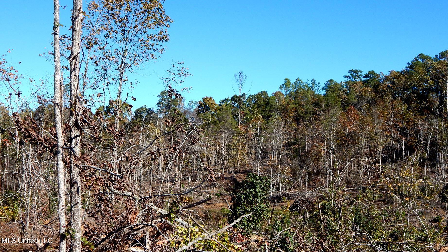 49 811th Road Coffeeville, MS 38922 - Photo 24 of 52 DSCN6261