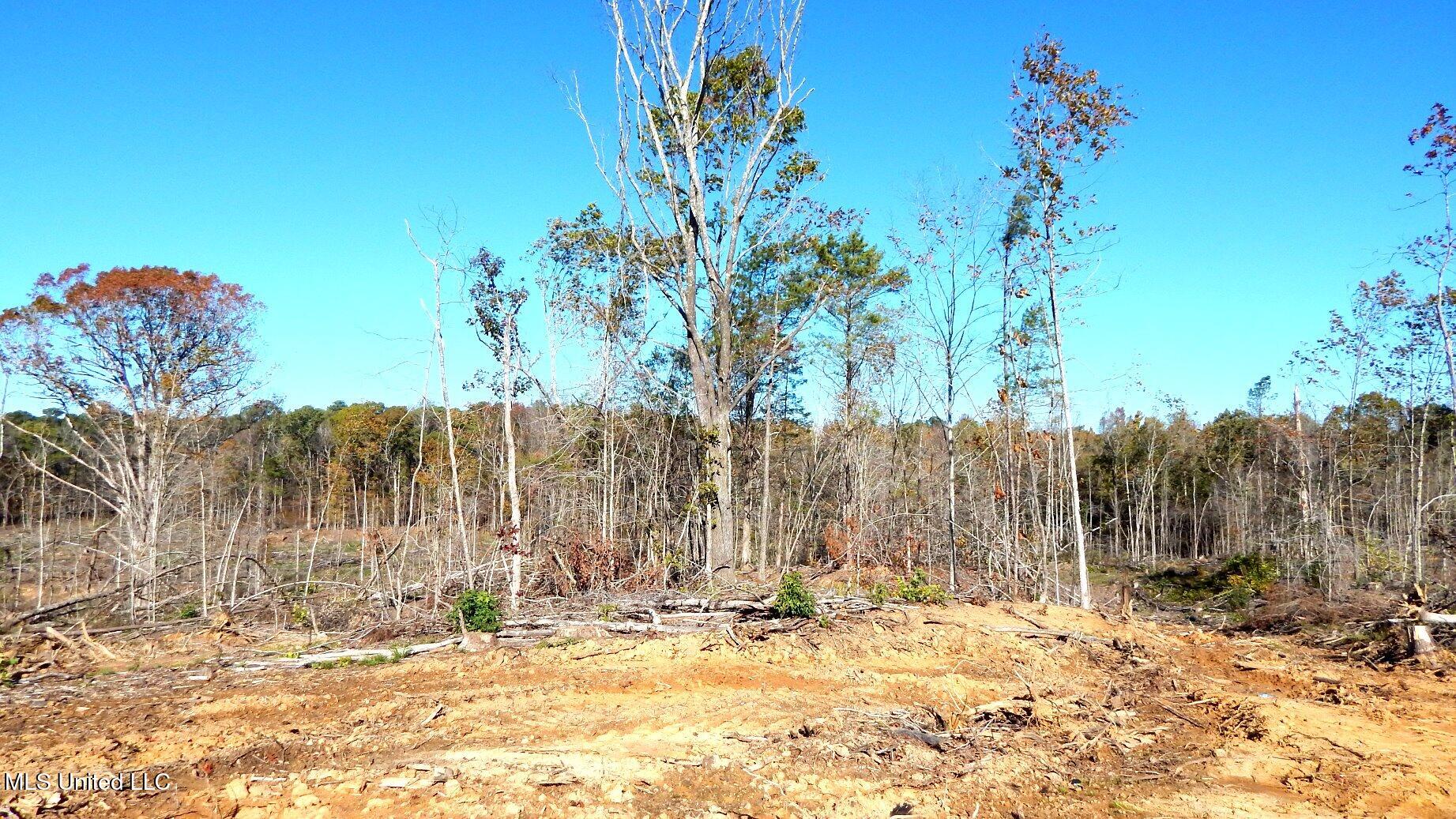 49 811th Road Coffeeville, MS 38922 - Photo 26 of 52 DSCN6260
