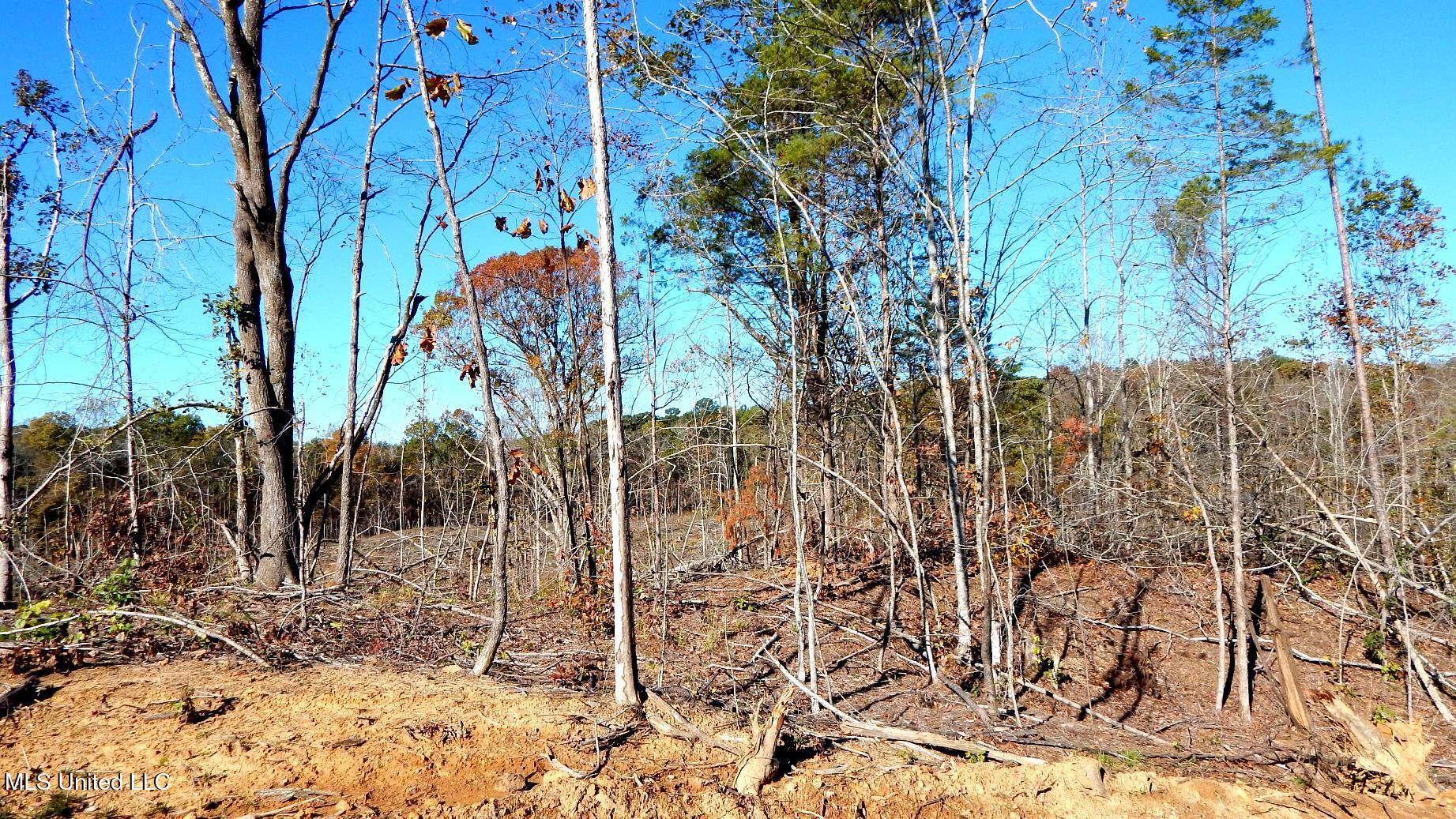 49 811th Road Coffeeville, MS 38922 - Photo 27 of 52 DSCN6263