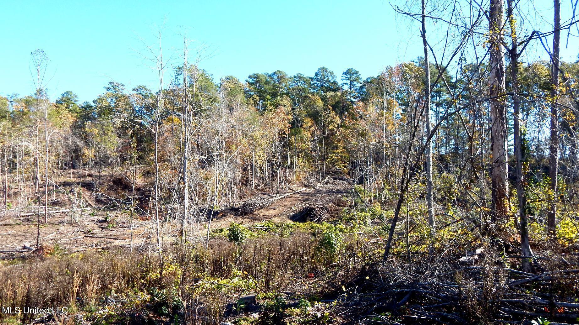 49 811th Road Coffeeville, MS 38922 - Photo 28 of 52 DSCN6264