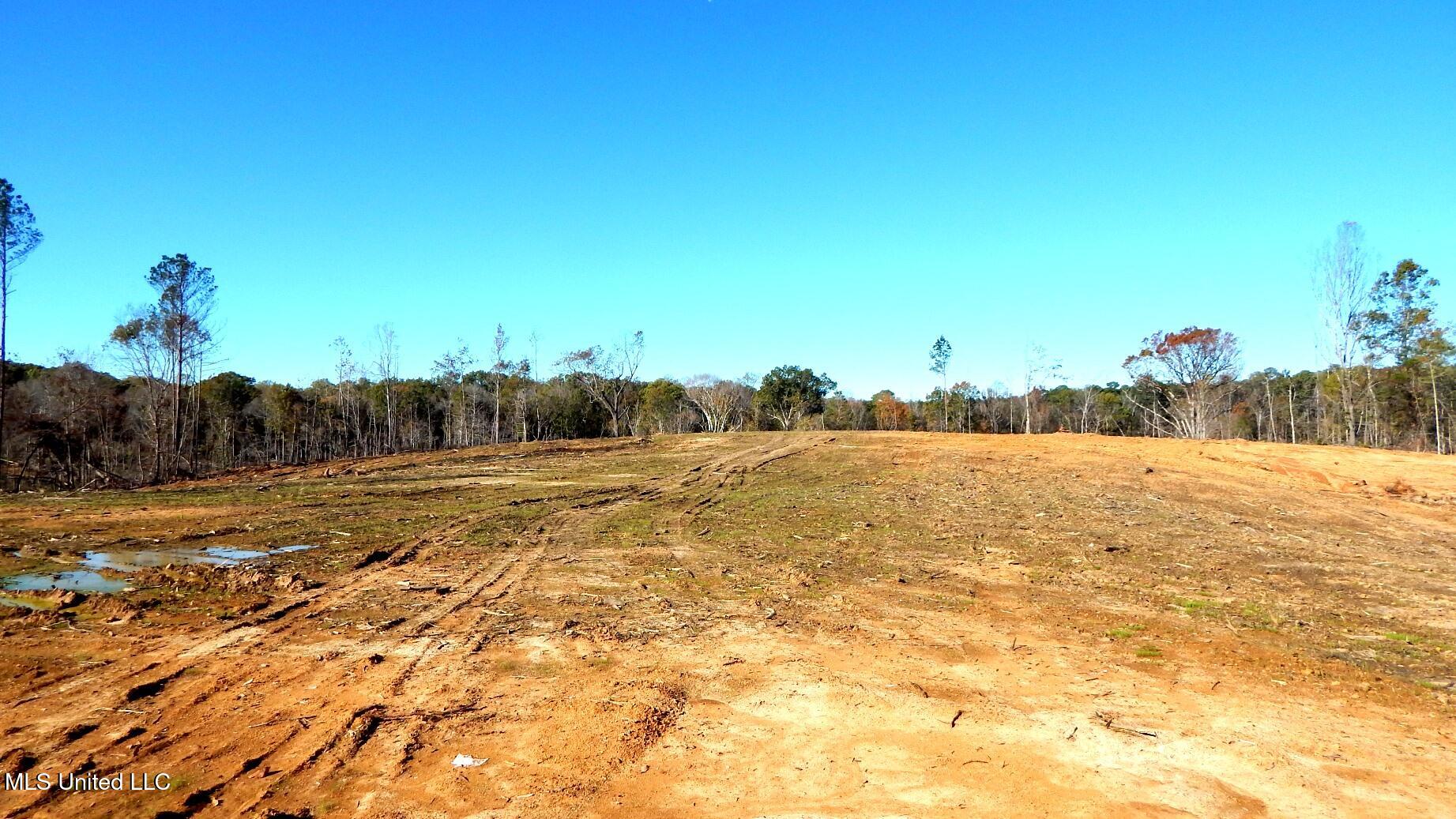 49 811th Road Coffeeville, MS 38922 - Photo 29 of 52 DSCN6252