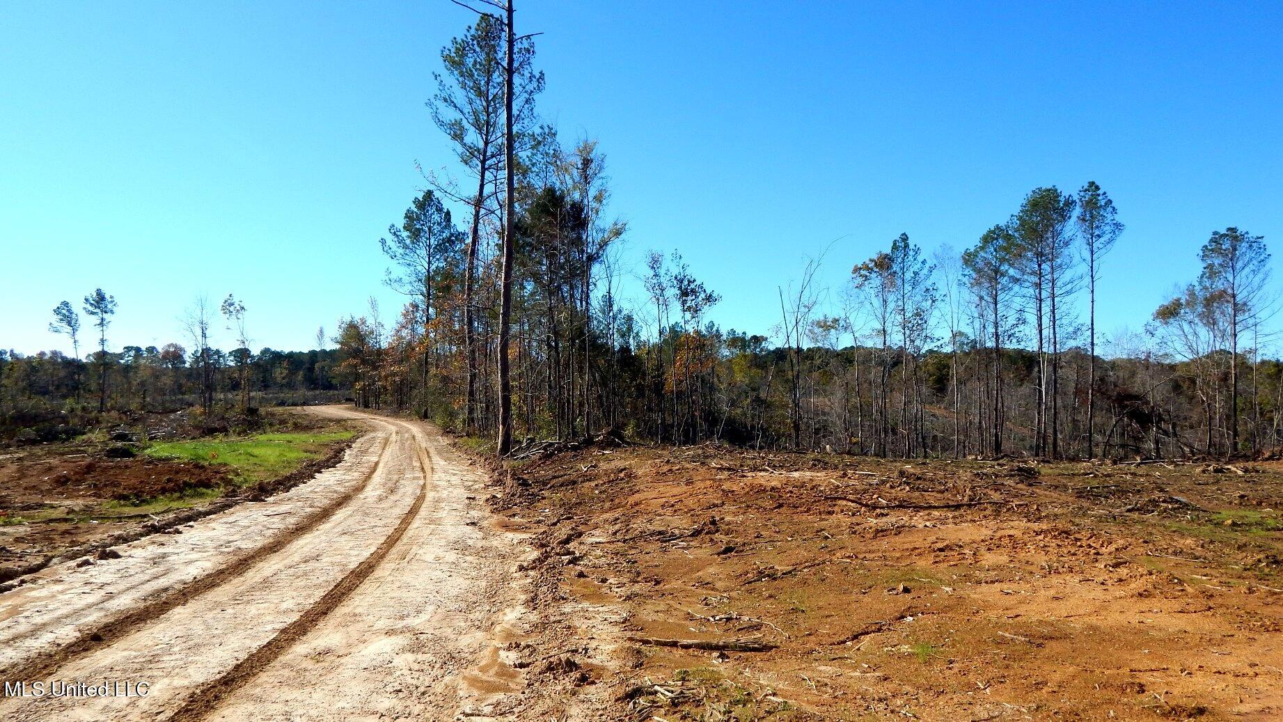 49 811th Road Coffeeville, MS 38922 - Photo 31 of 52 DSCN6271