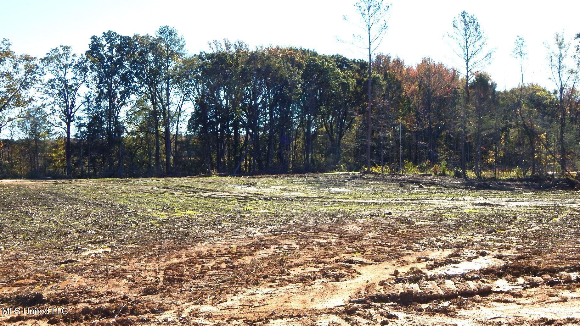 49 811th Road Coffeeville, MS 38922 - Photo 32 of 52 DSCN6269