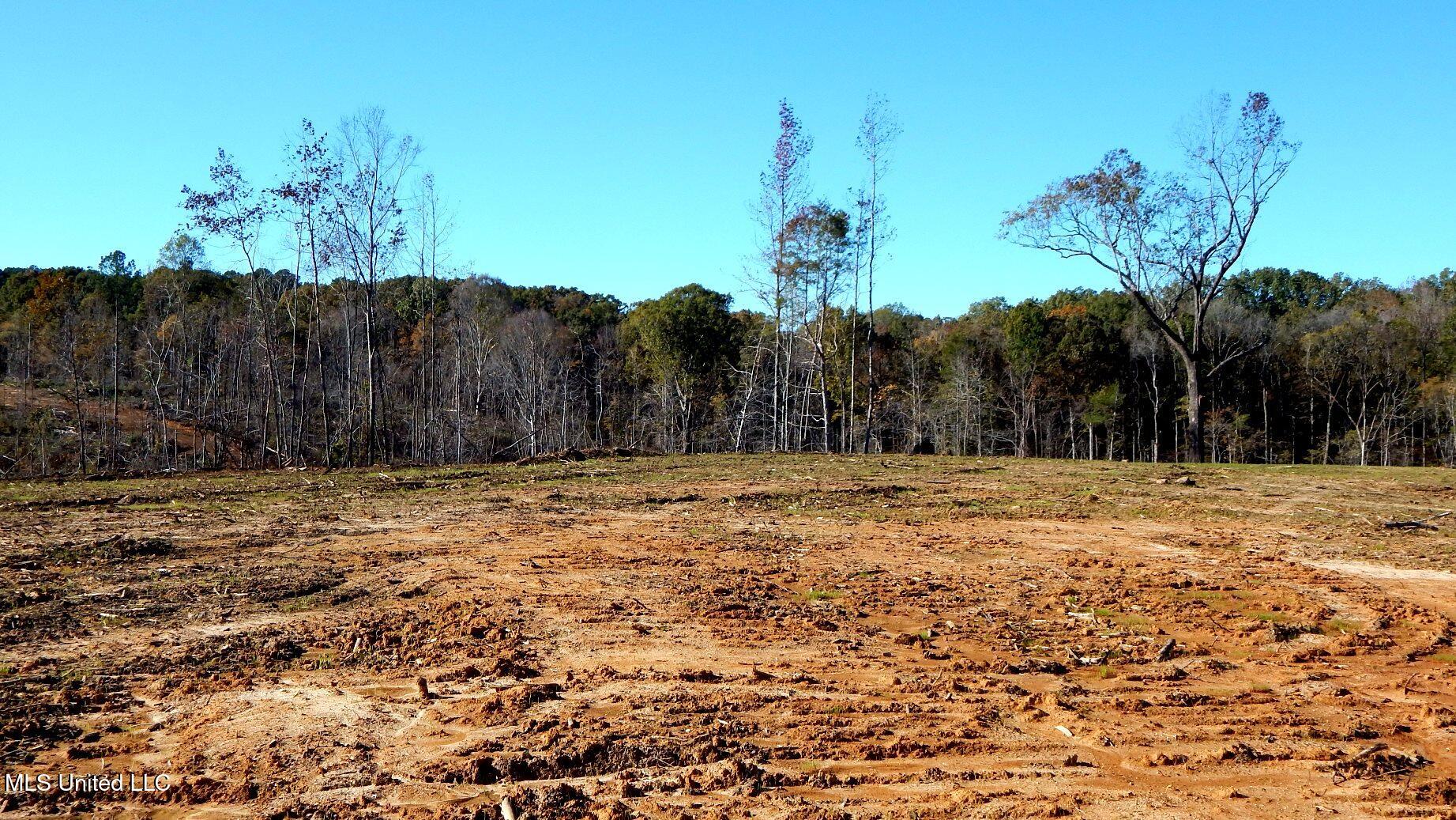 49 811th Road Coffeeville, MS 38922 - Photo 33 of 52 DSCN6270