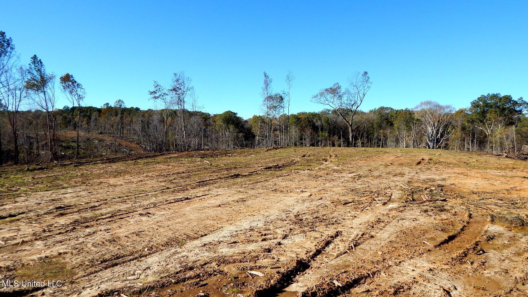 49 811th Road Coffeeville, MS 38922 - Photo 36 of 52 DSCN6254