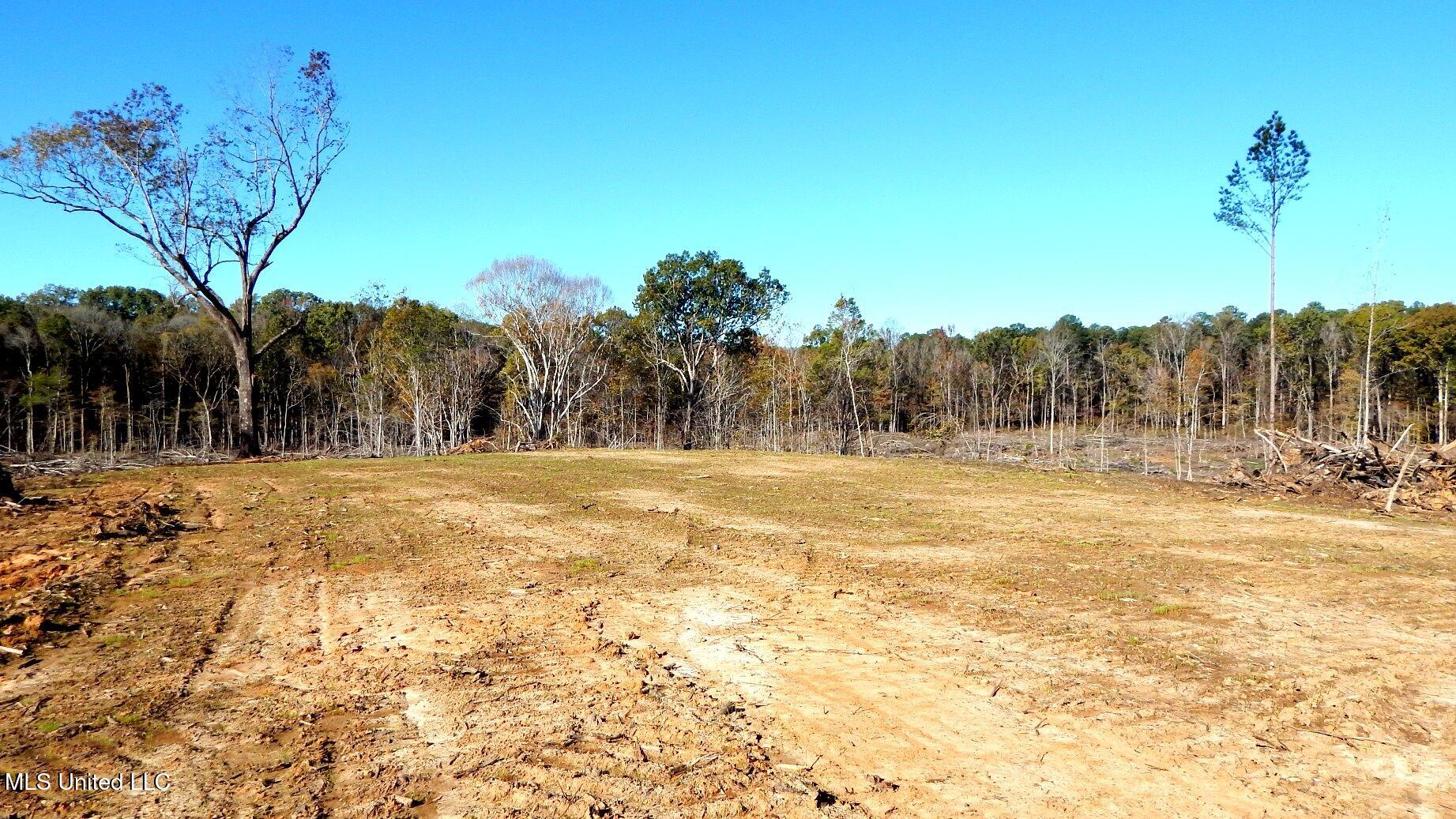 49 811th Road Coffeeville, MS 38922 - Photo 38 of 52 DSCN6256