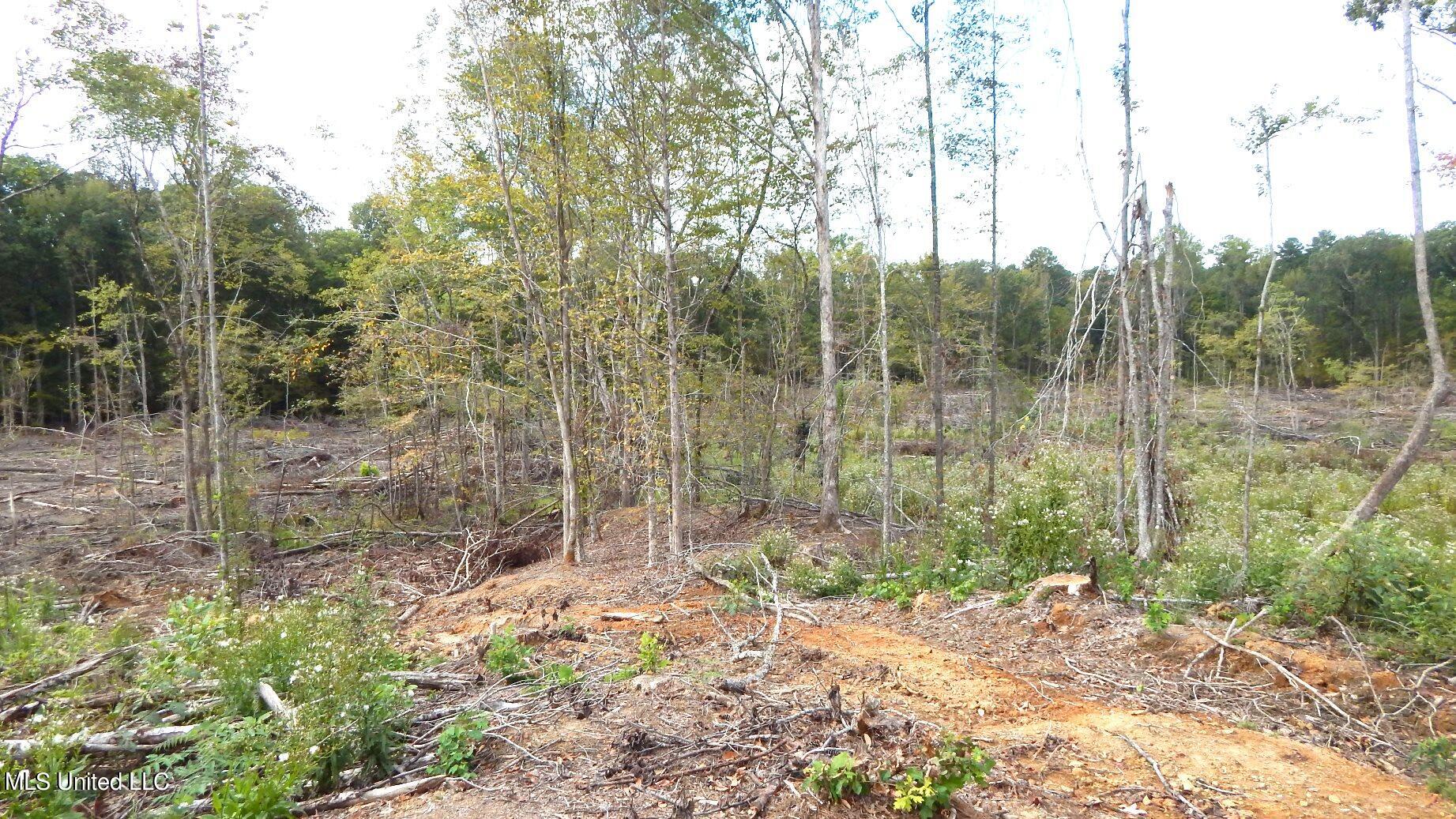 49 811th Road Coffeeville, MS 38922 - Photo 39 of 52 DSCN6077
