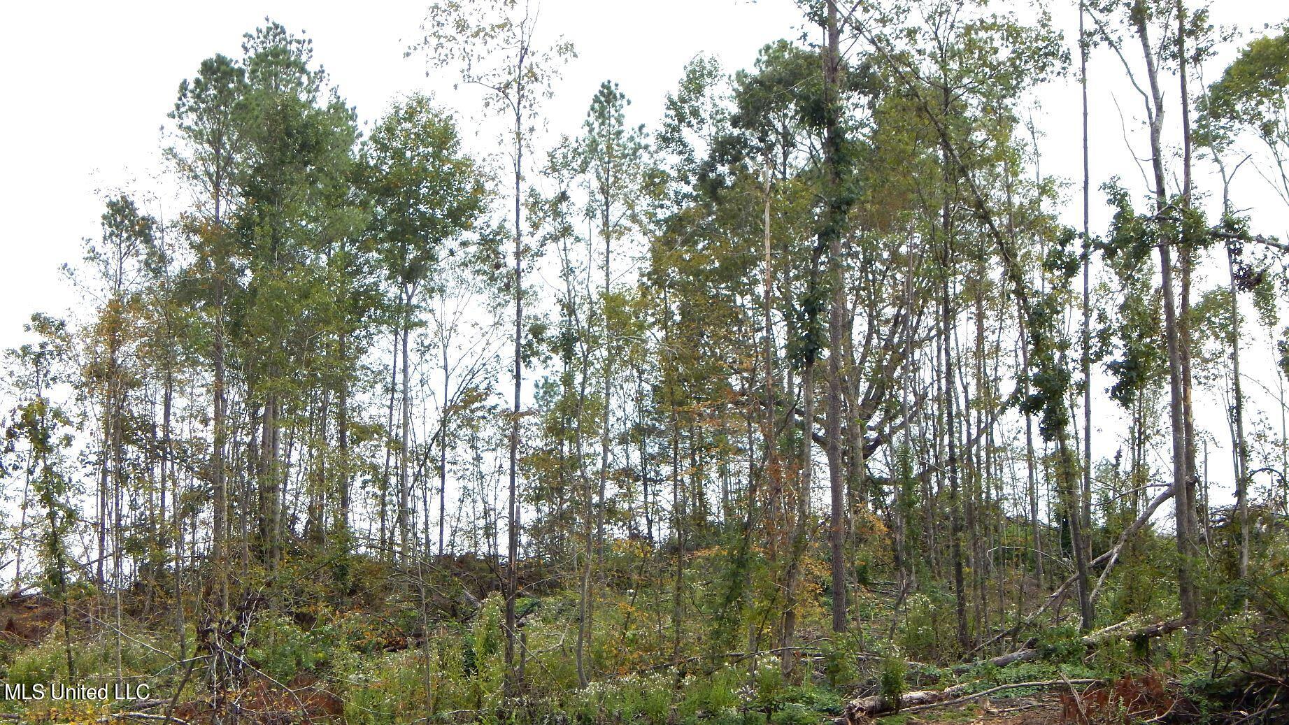 49 811th Road Coffeeville, MS 38922 - Photo 44 of 52 DSCN6084