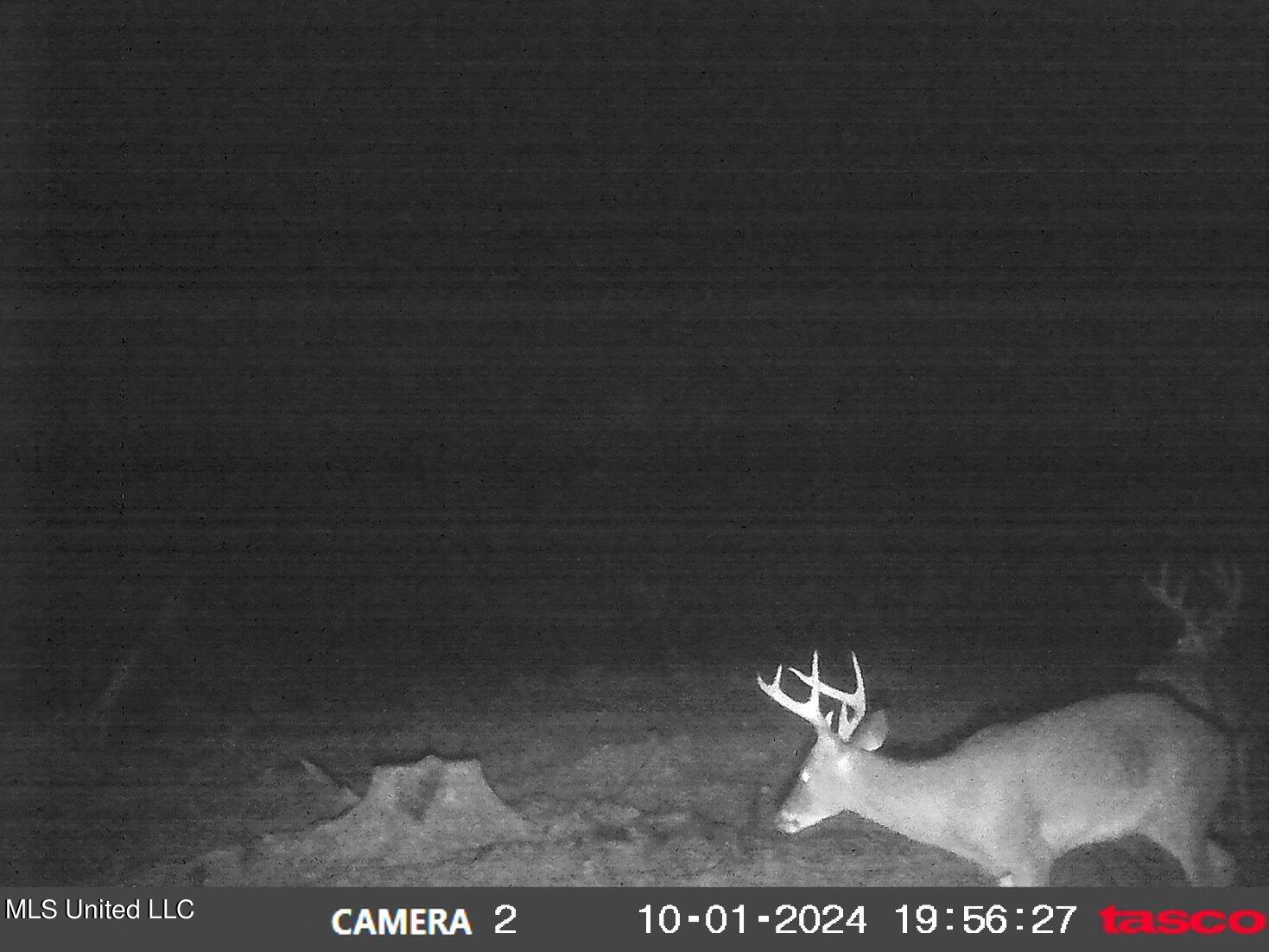 49 811th Road Coffeeville, MS 38922 - Photo 7 of 52 00000012