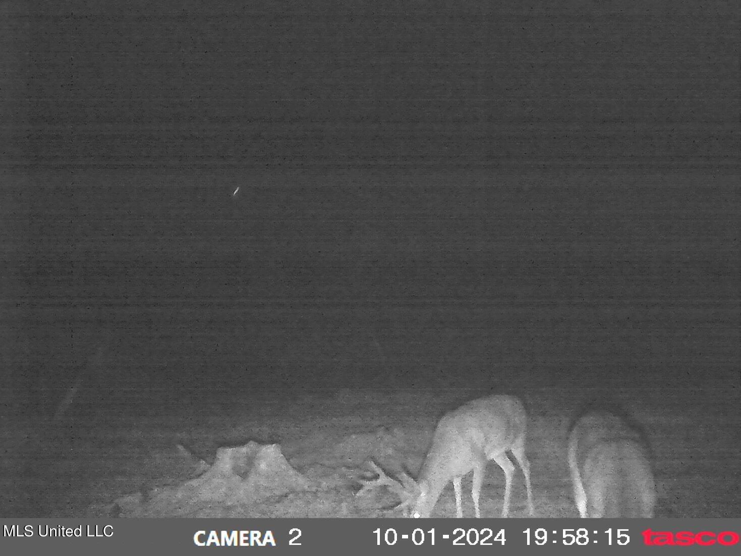 49 811th Road Coffeeville, MS 38922 - Photo 8 of 52 00000013