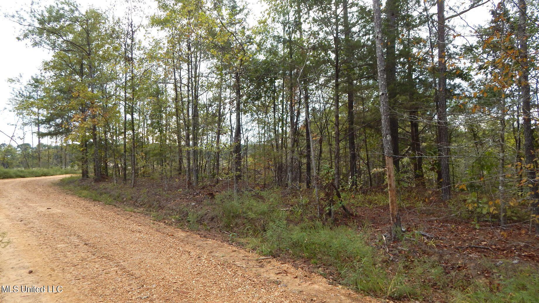 49 811th Road Coffeeville, MS 38922 - Photo 10 of 52 DSCN6073