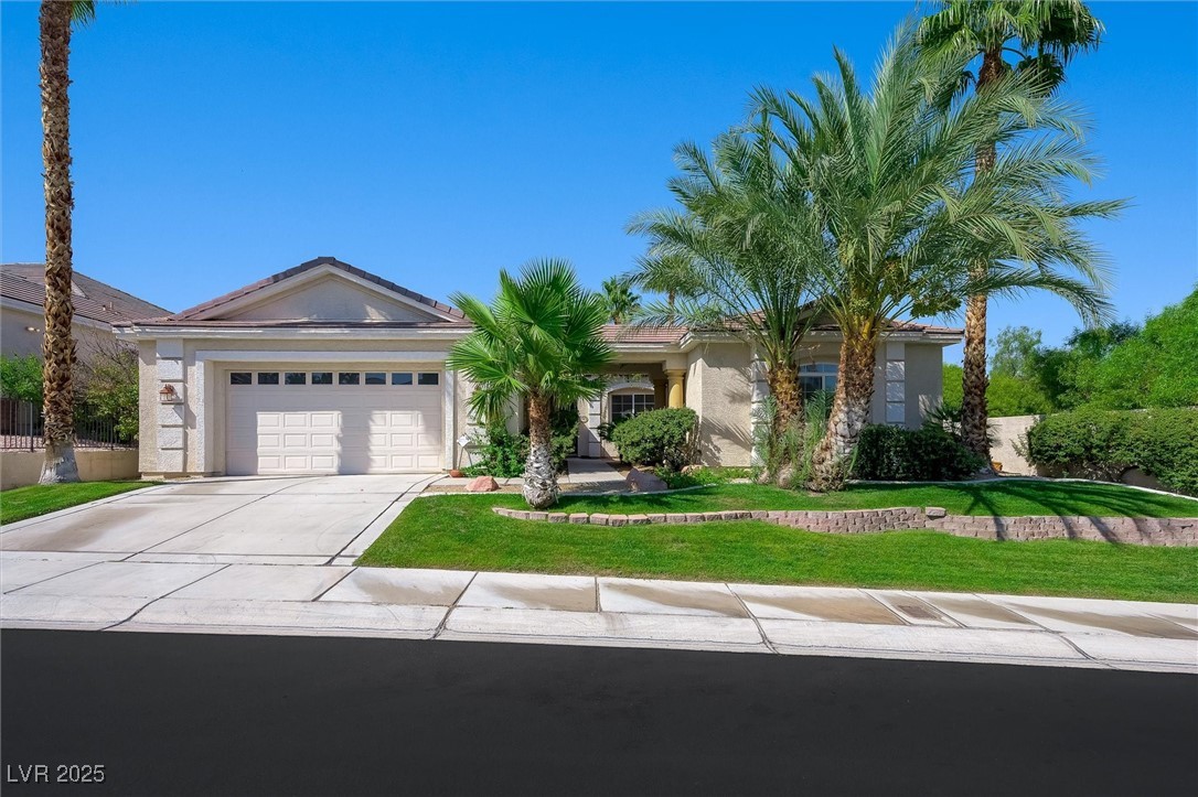 Ranch-style house featuring driveway, a garage, stucco siding, and a front lawn