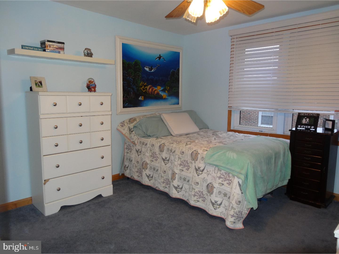 743 Claire Road Philadelphia, PA 19128 - Photo 22 of 24 Gallery Image 22