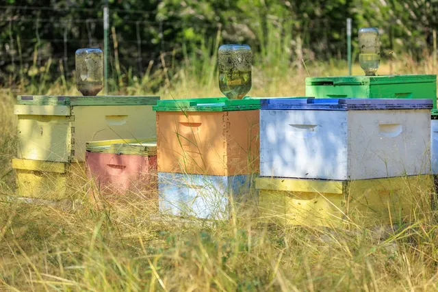 a view of swimming pool with a yard