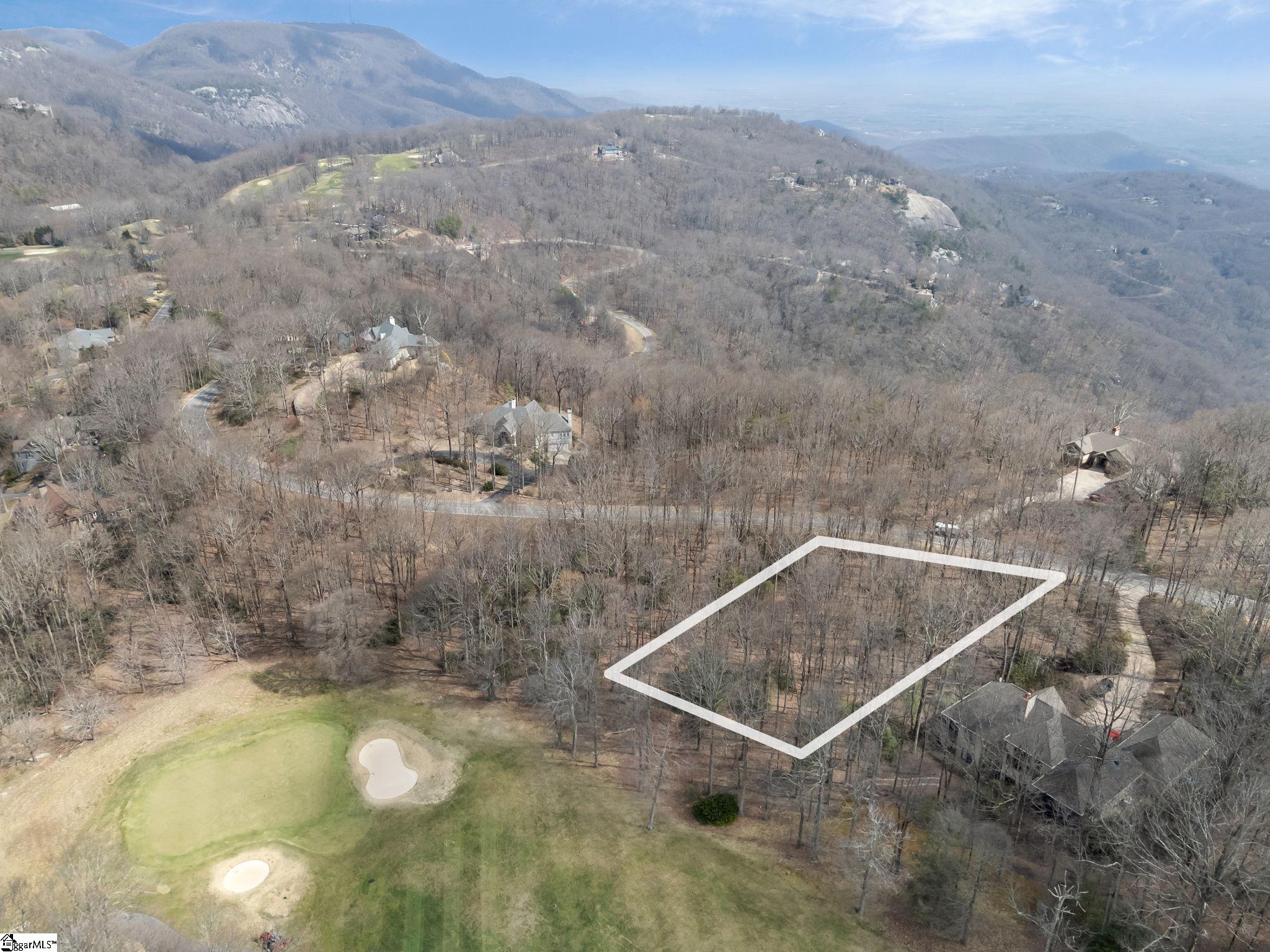 66 The Cliffs Parkway Landrum, SC 29356 - Photo 4 of 13