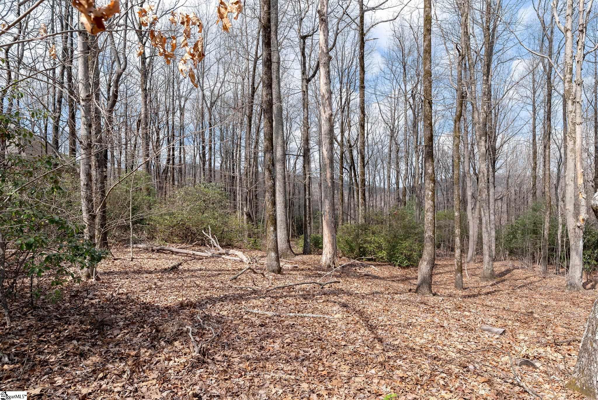 66 The Cliffs Parkway Landrum, SC 29356 - Photo 8 of 13