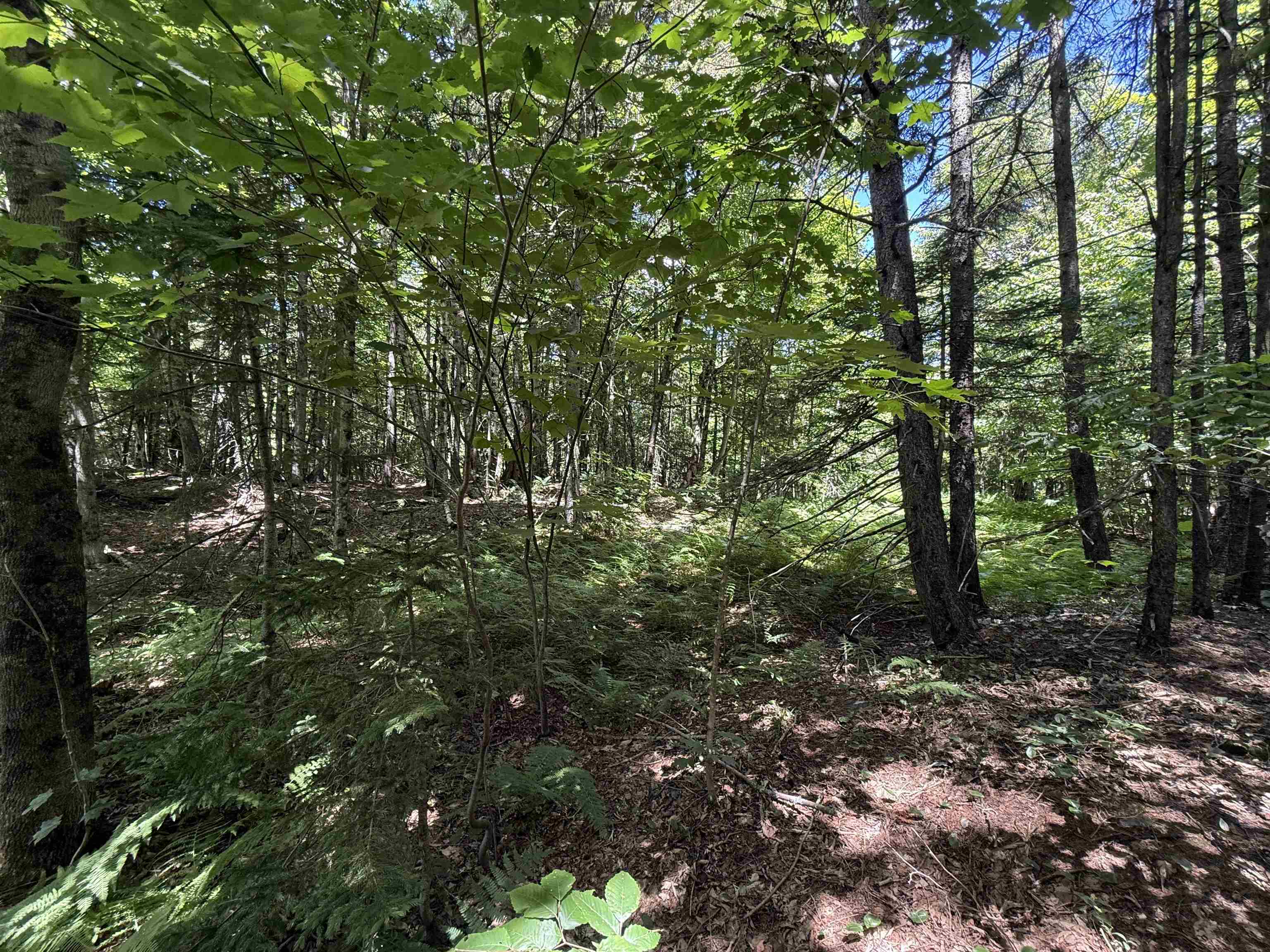 392 Sicard Road Randolph, VT 05060 - Photo 45 of 45