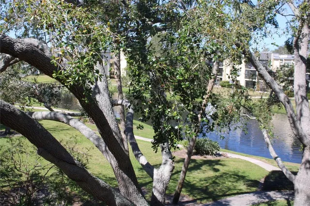 a view of an outdoor space and a yard