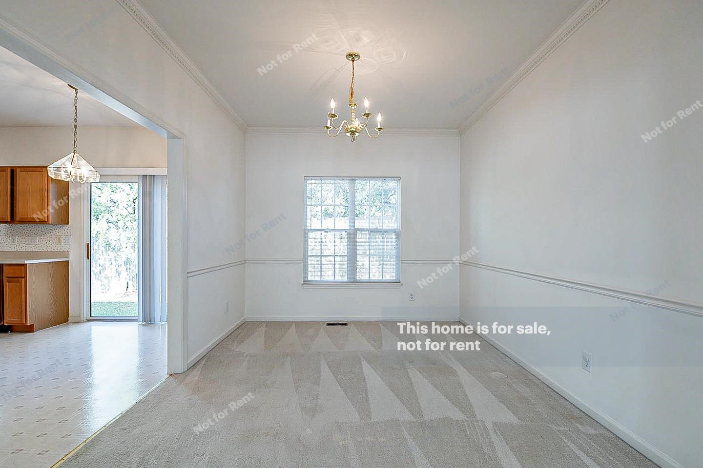533 Hanska Way Raleigh, NC 27610 - Photo 6 of 20 Photo 6