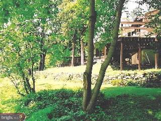 181 Stephen Road Reading, PA 19601 - Photo 5 of 6