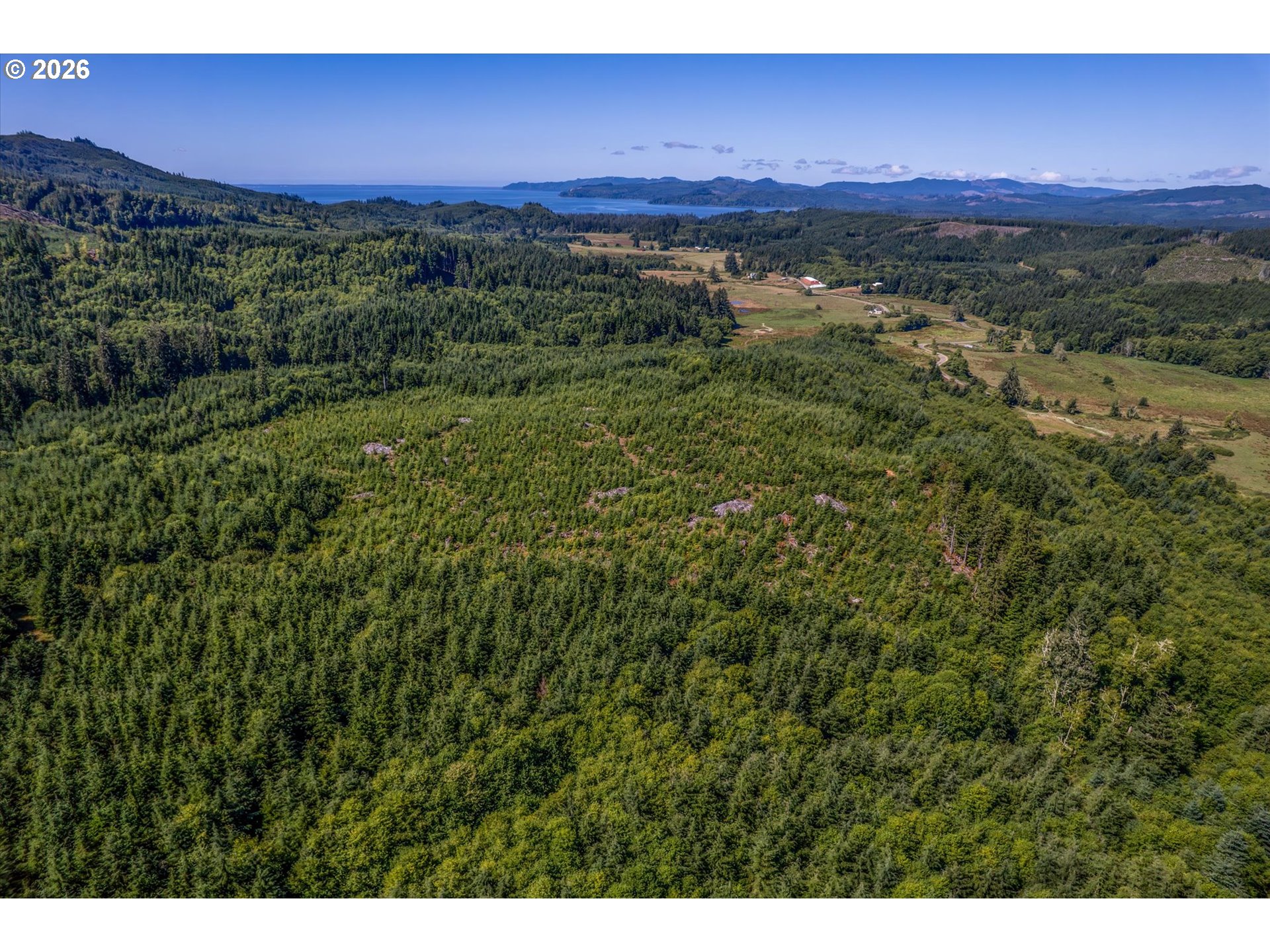 West Valley Road Rosburg, WA 98643 - Photo 11 of 14 a view of a lush green field