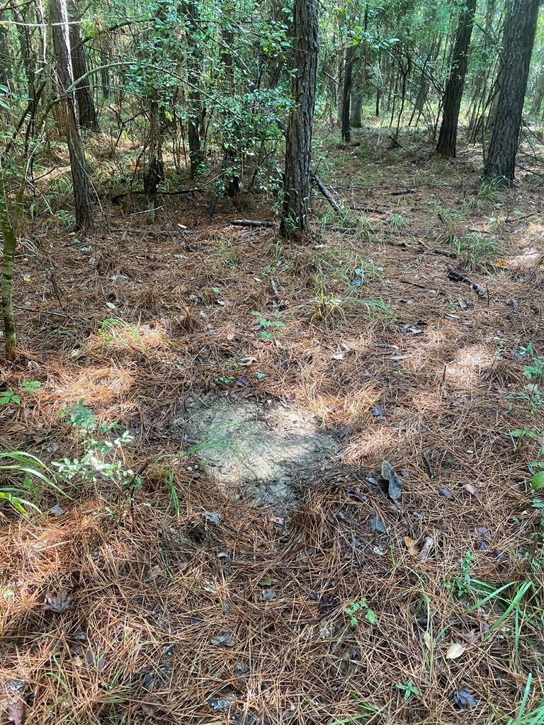 0 Yates Road Sontag, MS 39665 - Photo 15 of 20 Photo 15