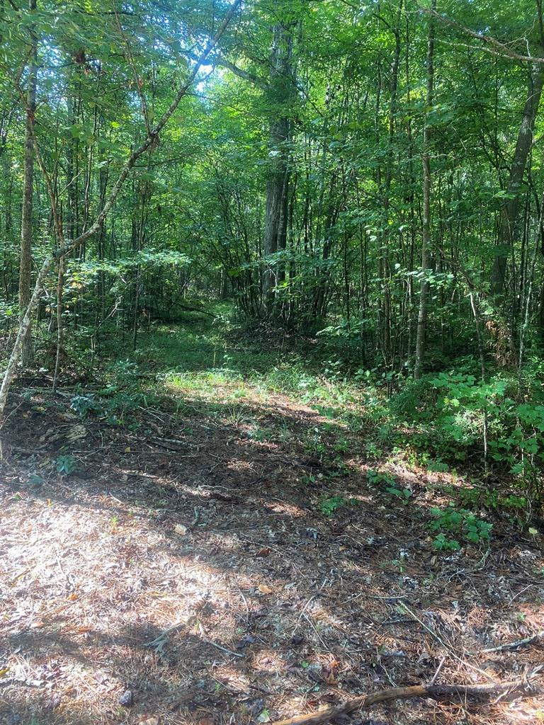 0 Yates Road Sontag, MS 39665 - Photo 19 of 20 Photo 19