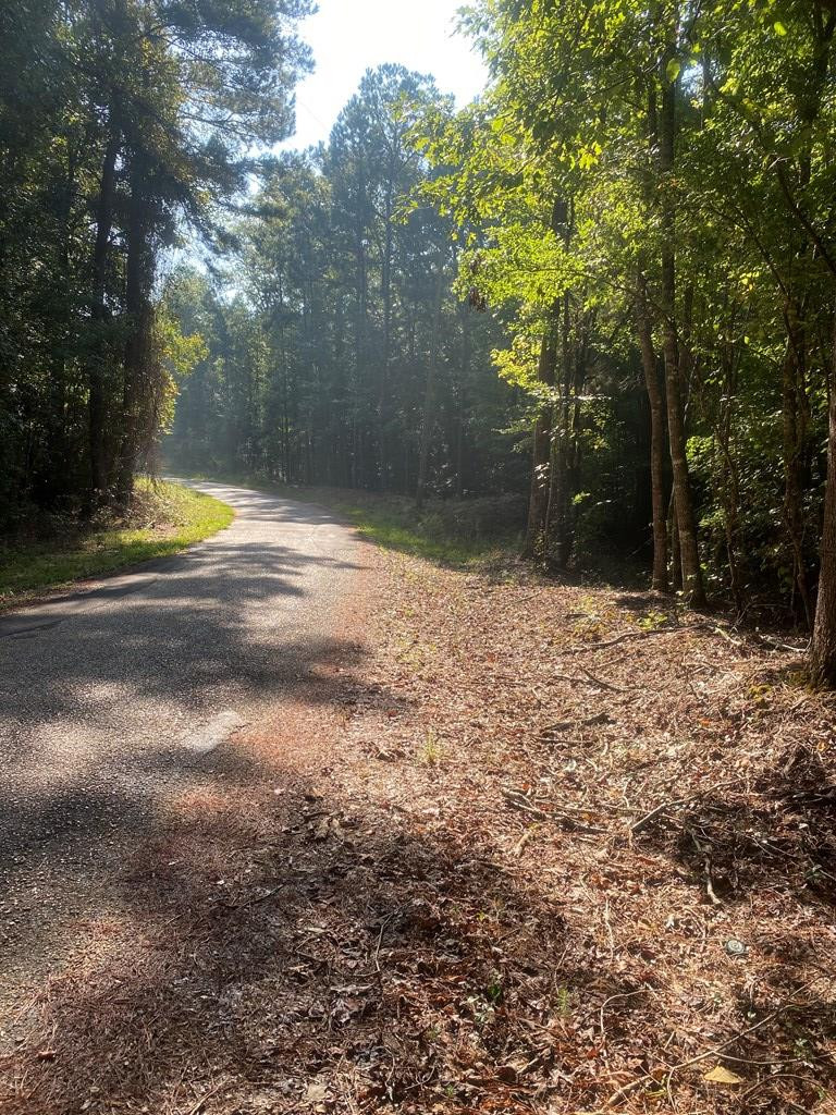 0 Yates Road Sontag, MS 39665 - Photo 20 of 20 Photo 20