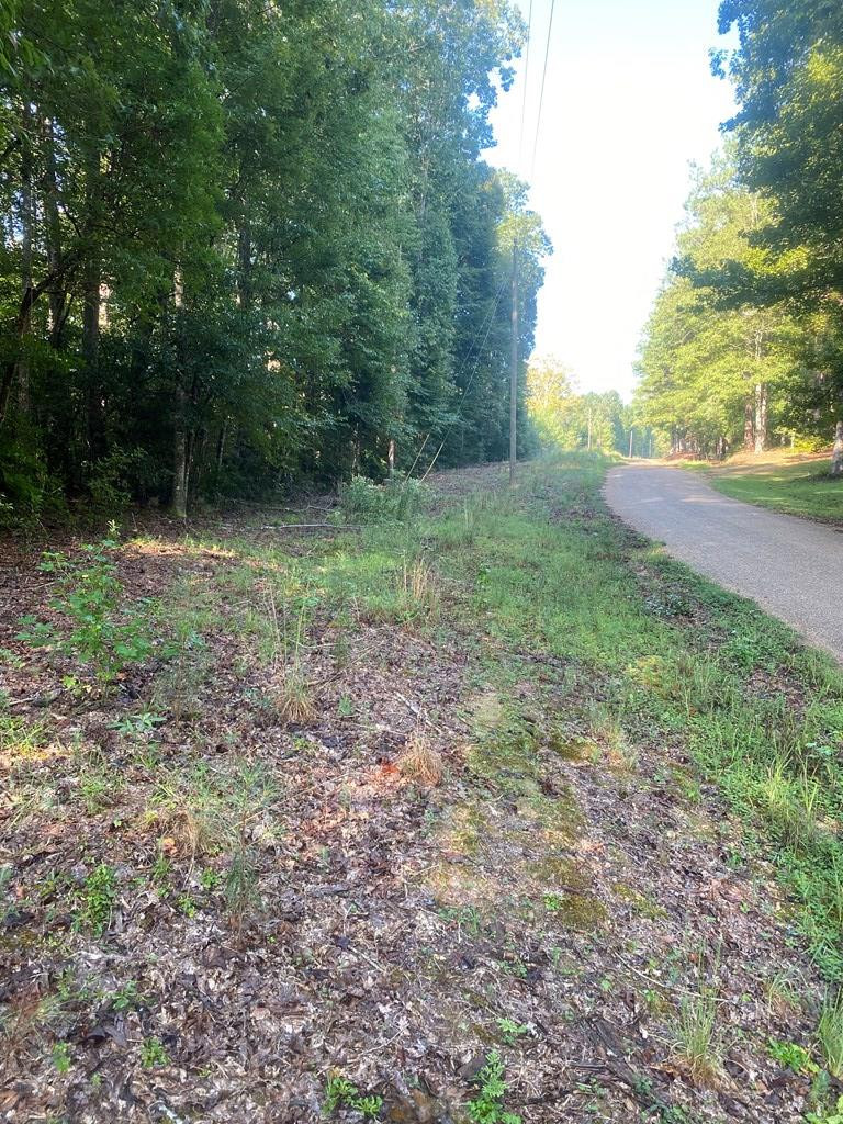 0 Yates Road Sontag, MS 39665 - Photo 3 of 20 Photo 3