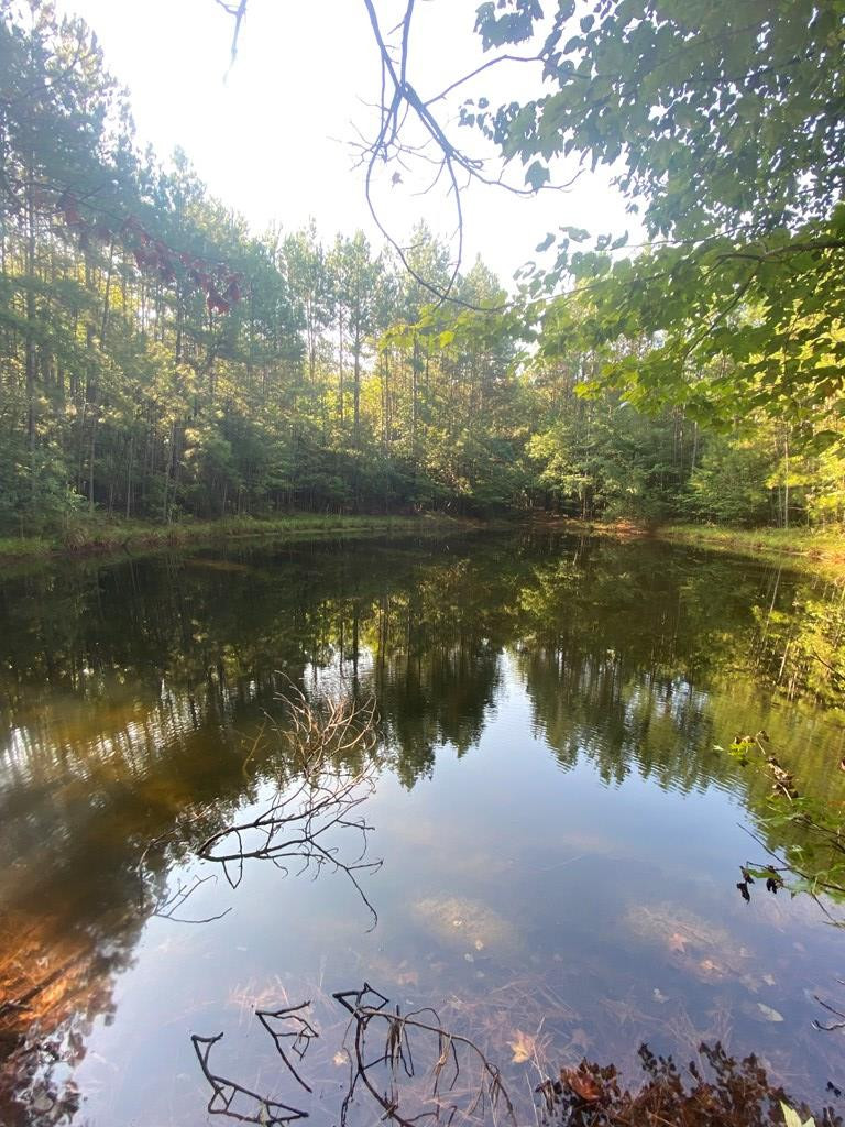 0 Yates Road Sontag, MS 39665 - Photo 9 of 20 Photo 9