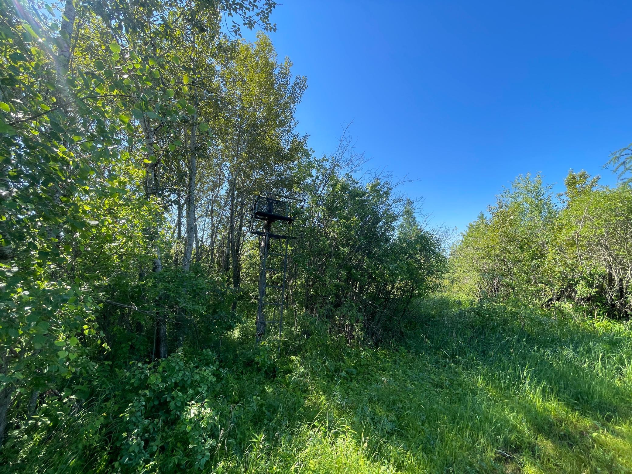 Tbd 440th Avenue Roseau, MN 56751 - Photo 61 of 80