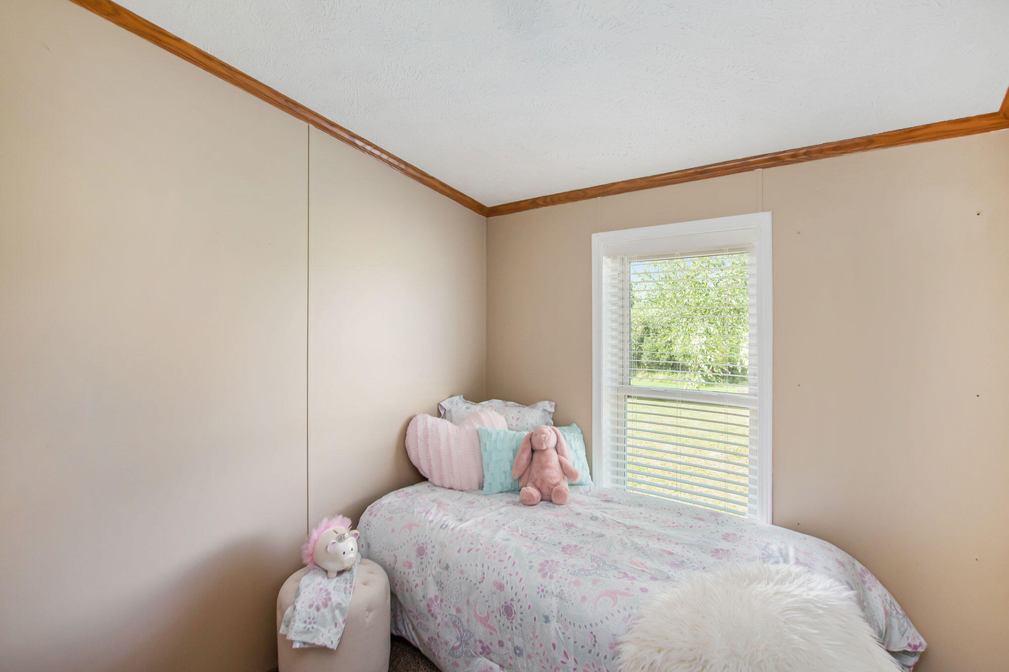 18262 Kimball Road Pierson, MI 49339 - Photo 15 of 15 Converted_18
