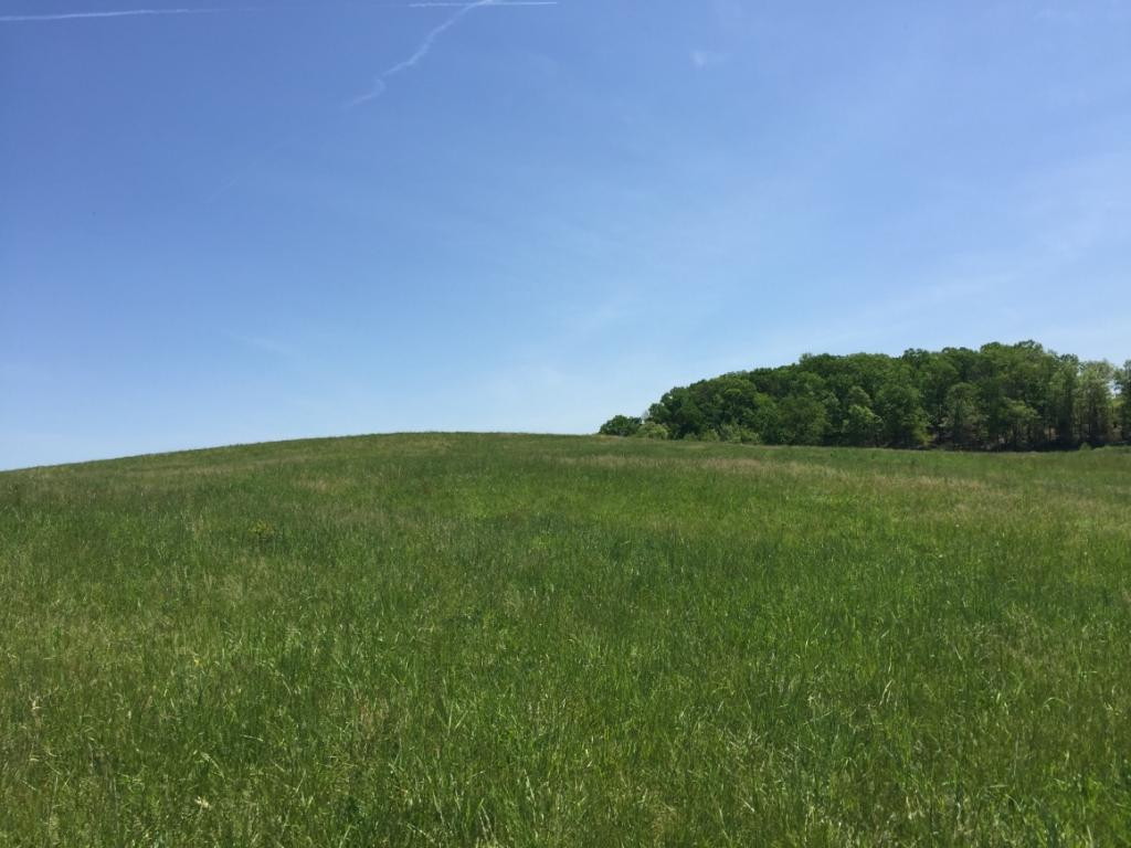 388 Old Snapps Ferry Road Chuckey, TN 37641 - Photo 3 of 4 Photo 3