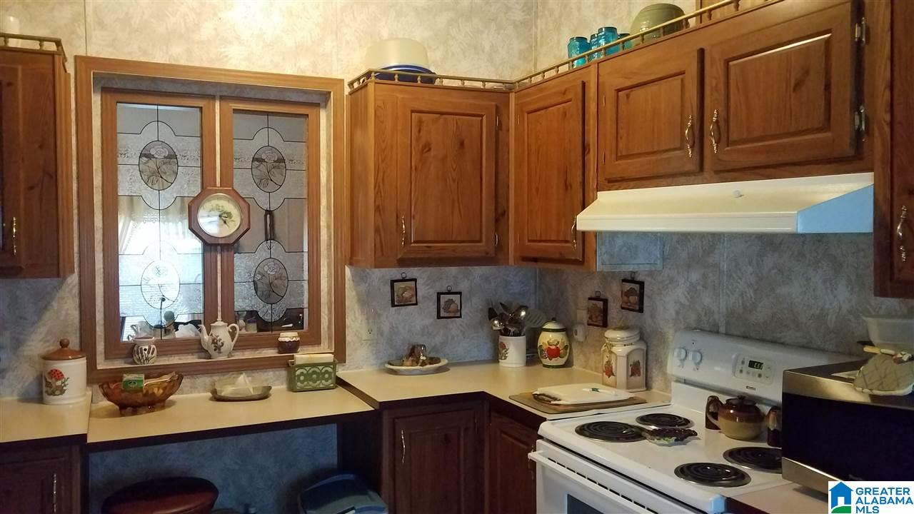 127 Young Road Remlap, AL 35133 - Photo 16 of 25
