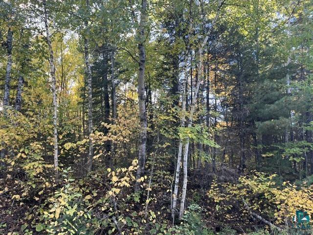 Tbd Lost Lake Road Tower, MN 55790 - Photo 10 of 13 Gallery Image 10
