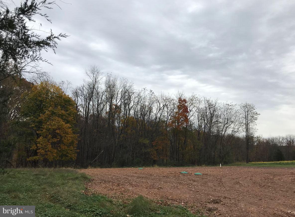 Rear Exterior Lot