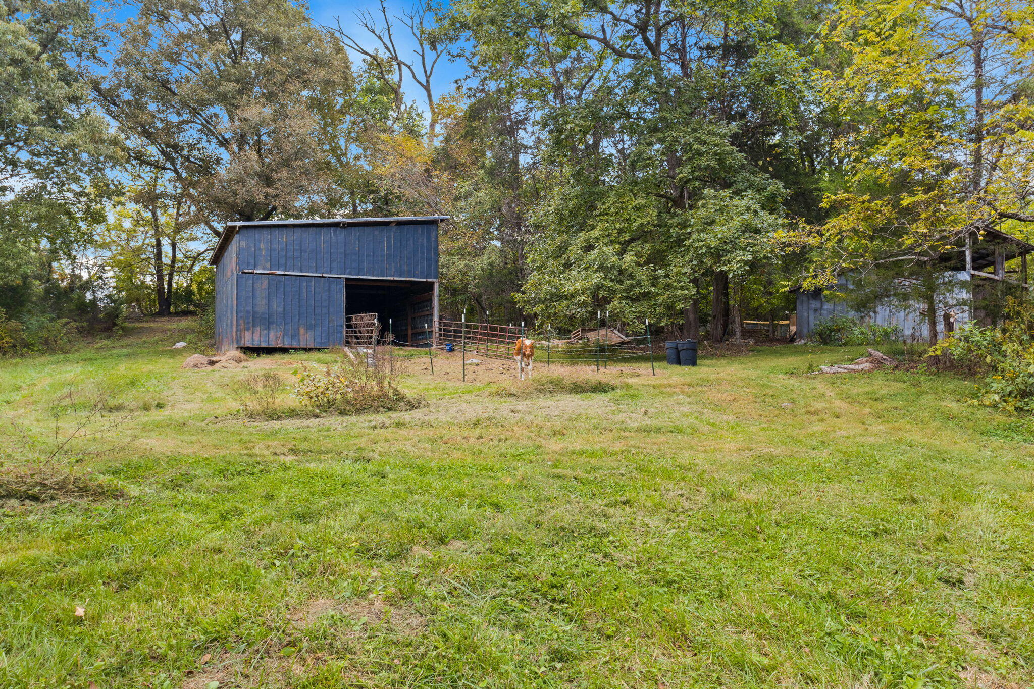 306 Billy Jones Road Greeneville, TN 37745 - Photo 35 of 56 31-web-or-mls-31