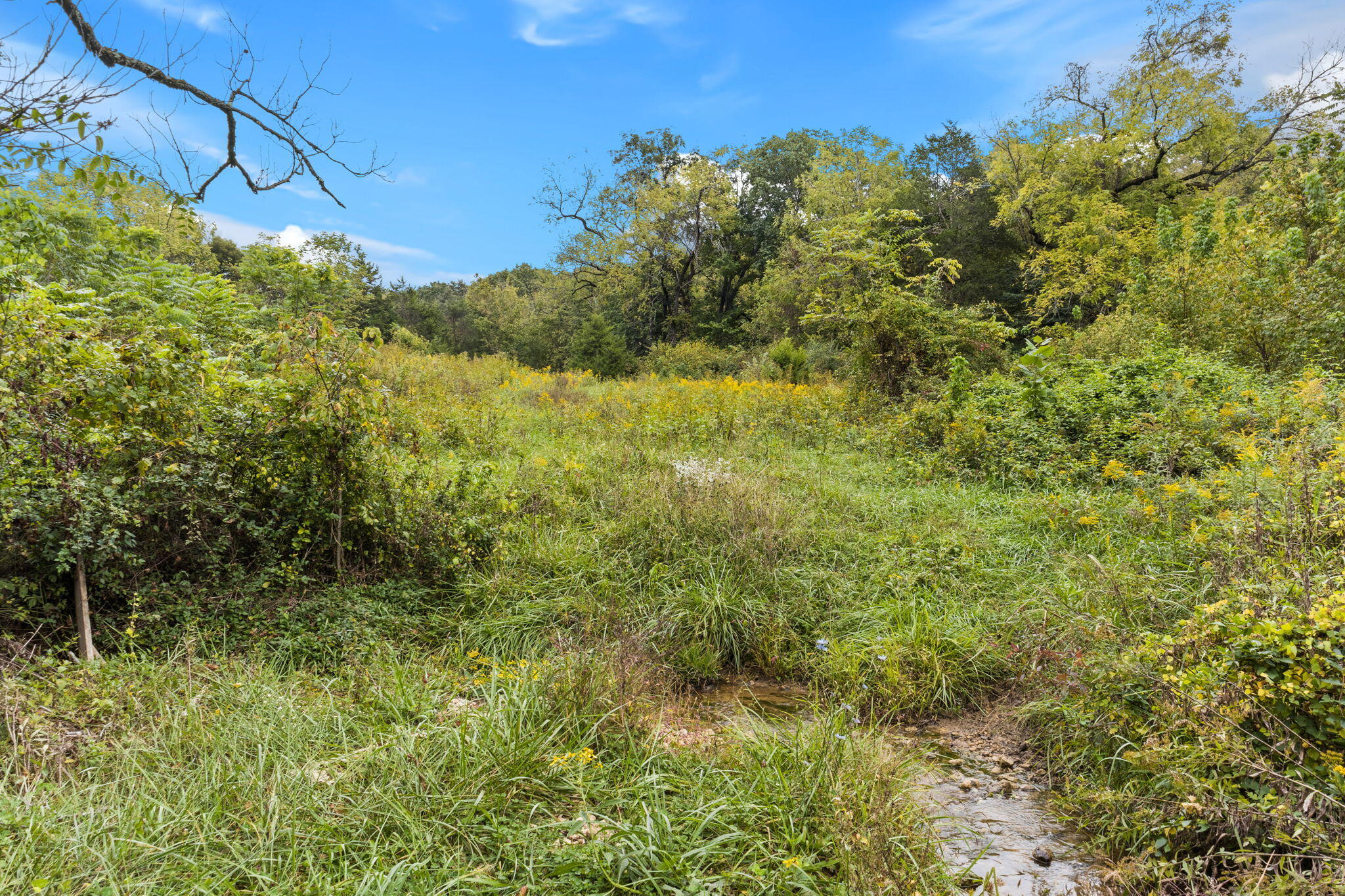 306 Billy Jones Road Greeneville, TN 37745 - Photo 39 of 56 35-web-or-mls-35