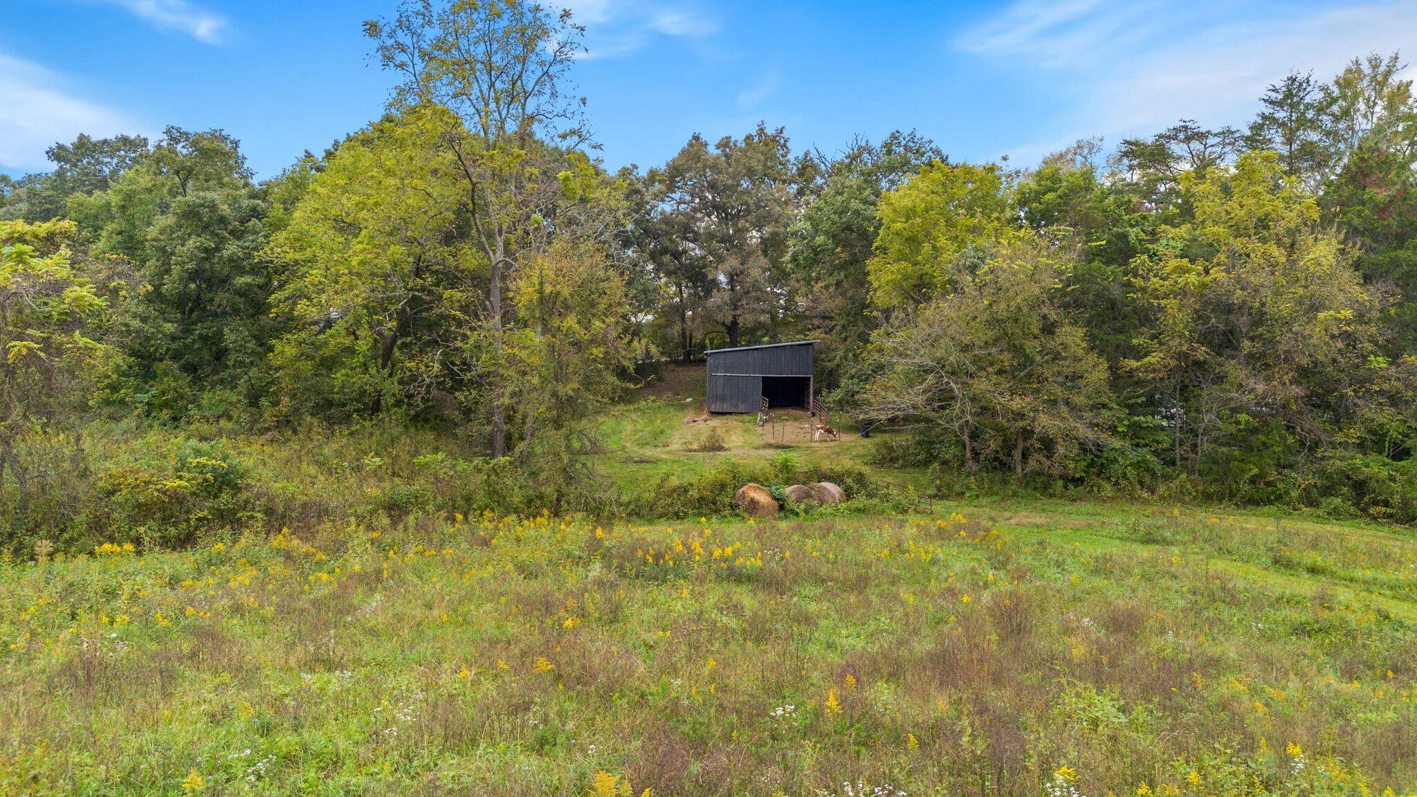306 Billy Jones Road Greeneville, TN 37745 - Photo 41 of 56 37-web-or-mls-37