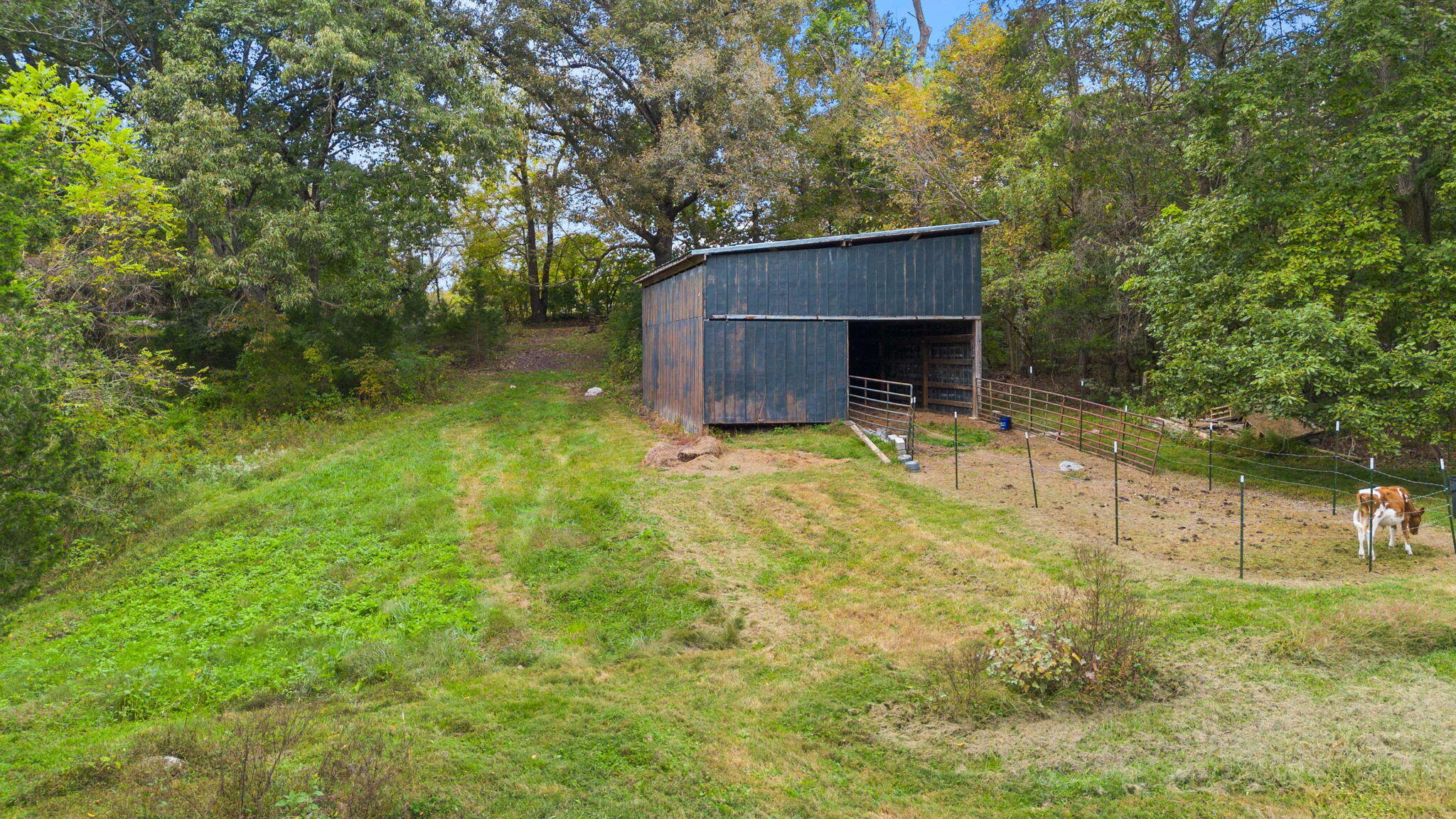 306 Billy Jones Road Greeneville, TN 37745 - Photo 42 of 56 38-web-or-mls-38