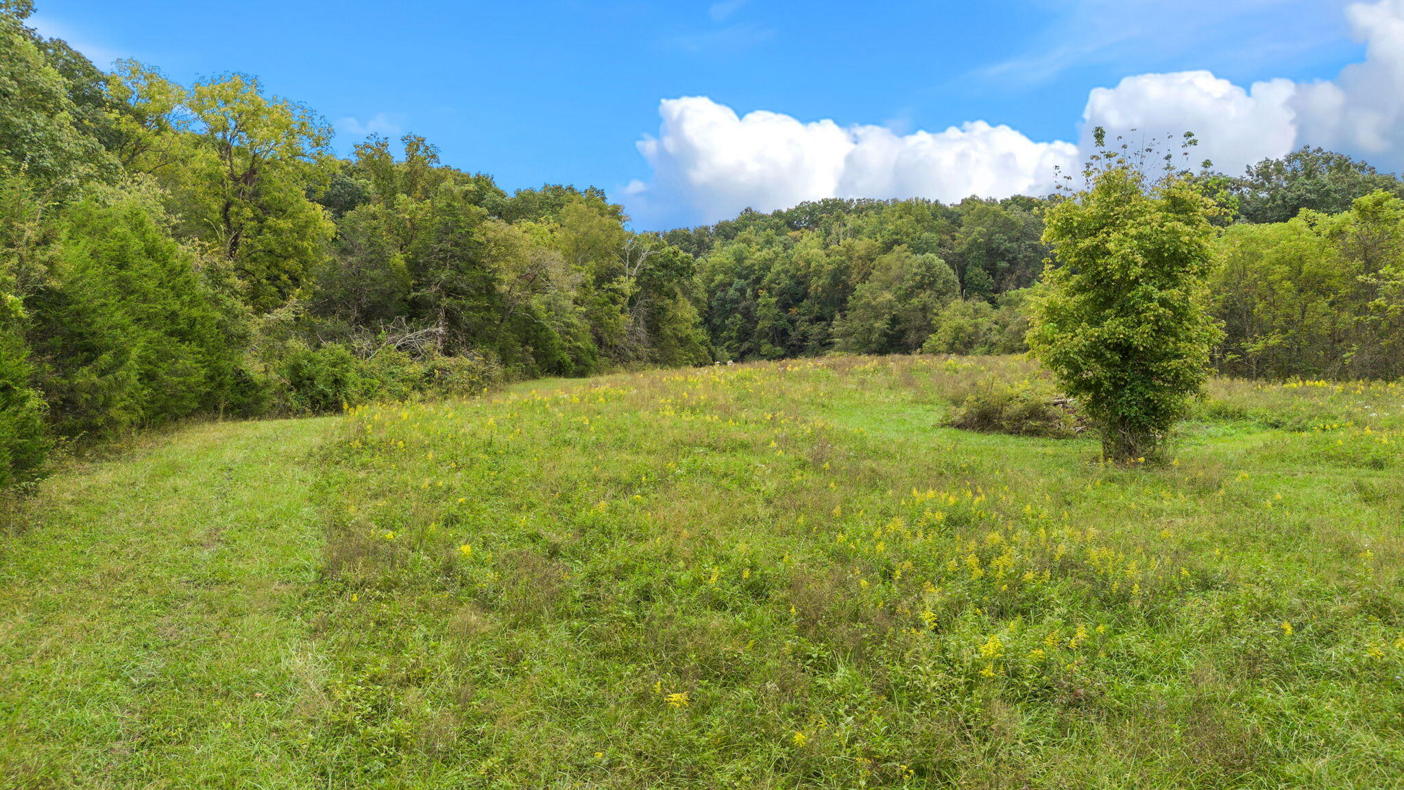 306 Billy Jones Road Greeneville, TN 37745 - Photo 43 of 56 39-web-or-mls-39