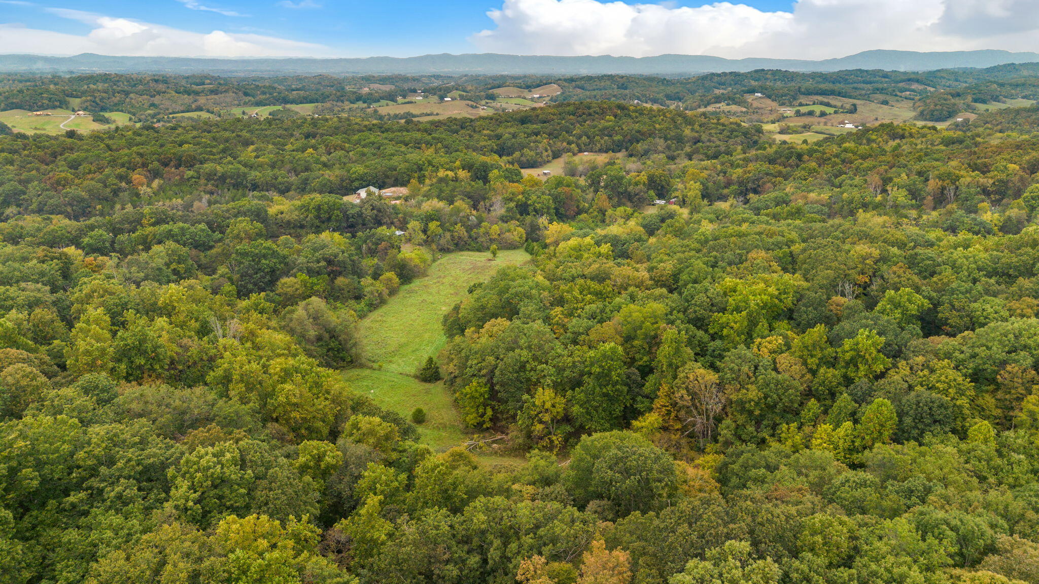 306 Billy Jones Road Greeneville, TN 37745 - Photo 47 of 56 43-web-or-mls-43