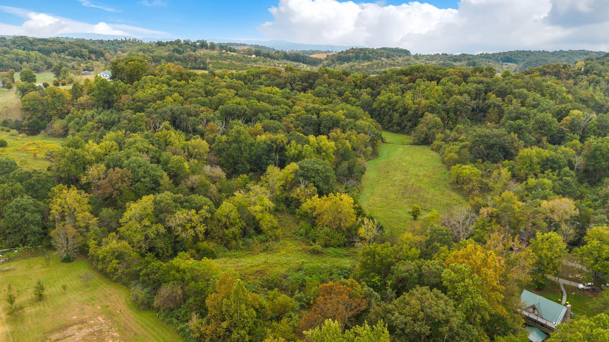 306 Billy Jones Road Greeneville, TN 37745 - Photo 48 of 56 44-web-or-mls-44