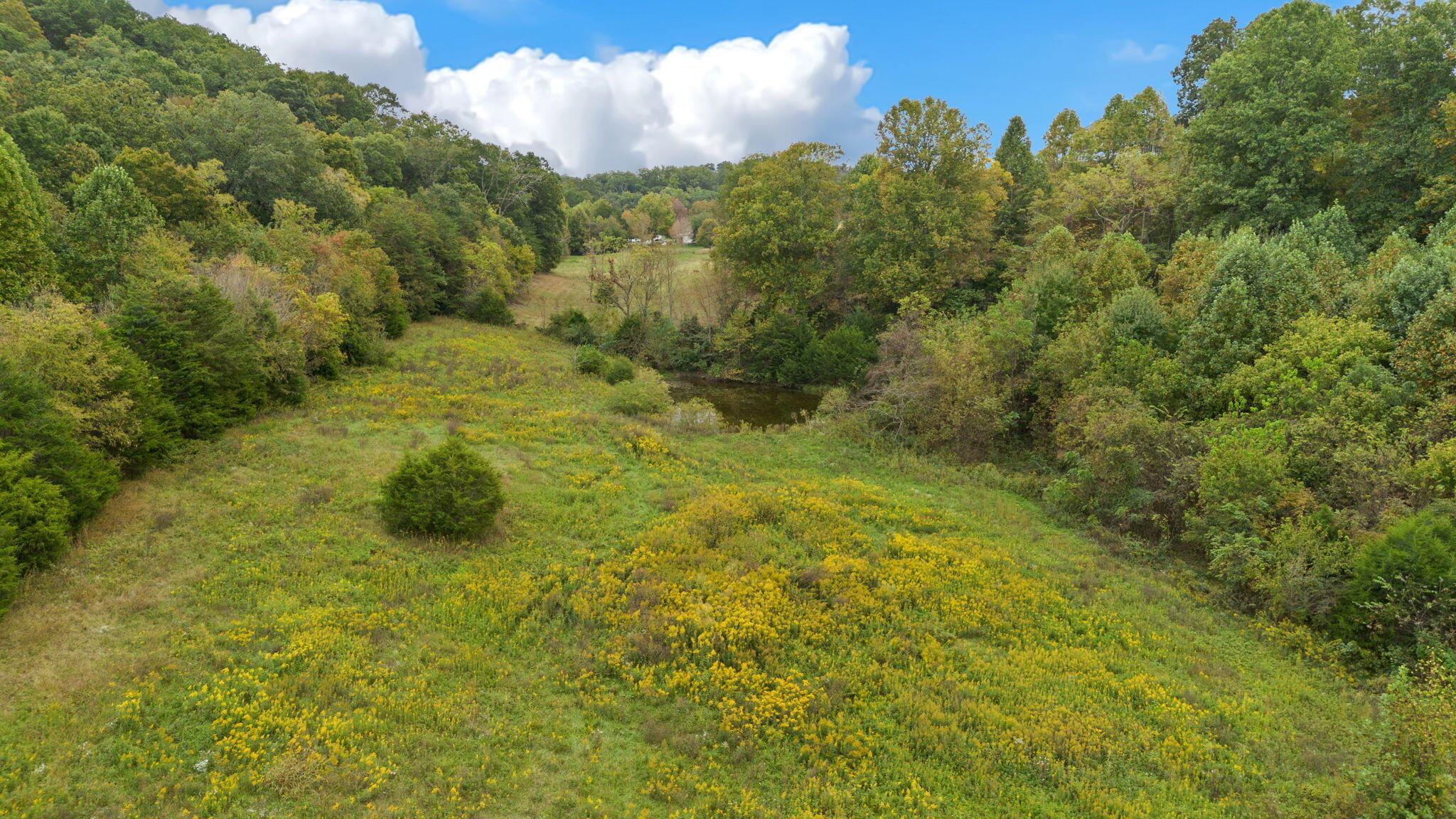 306 Billy Jones Road Greeneville, TN 37745 - Photo 49 of 56 45-web-or-mls-45