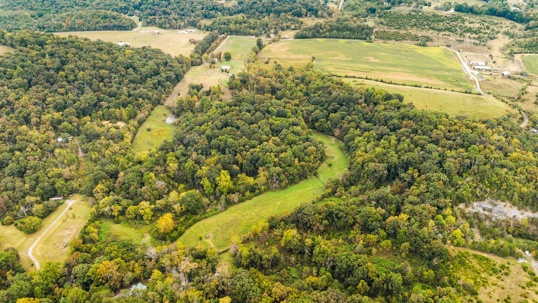 306 Billy Jones Road Greeneville, TN 37745 - Photo 51 of 56 47-web-or-mls-47