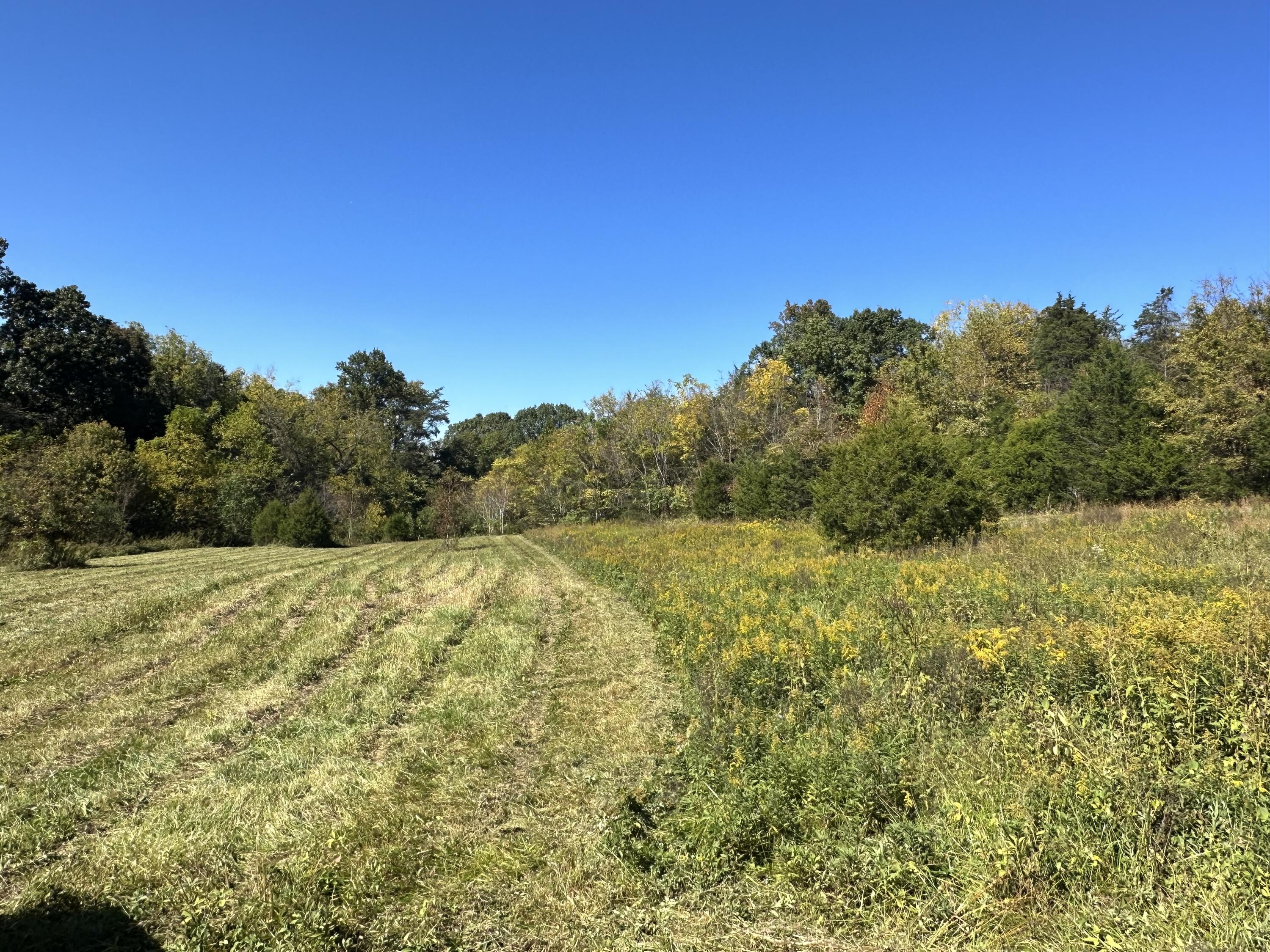306 Billy Jones Road Greeneville, TN 37745 - Photo 55 of 56 F78BC453-0679-45AE-BECB-3F2515C77FD8