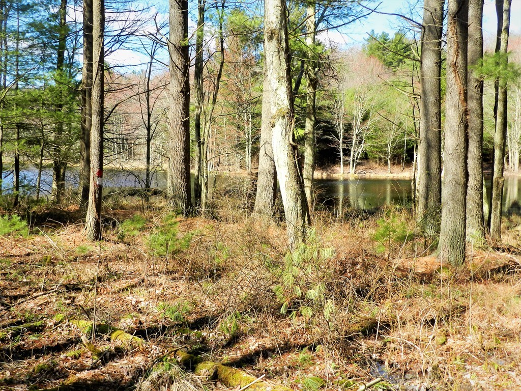 11 South Road Sturbridge, MA 01566 - Photo 7 of 17 a backyard of a house with lots of green space